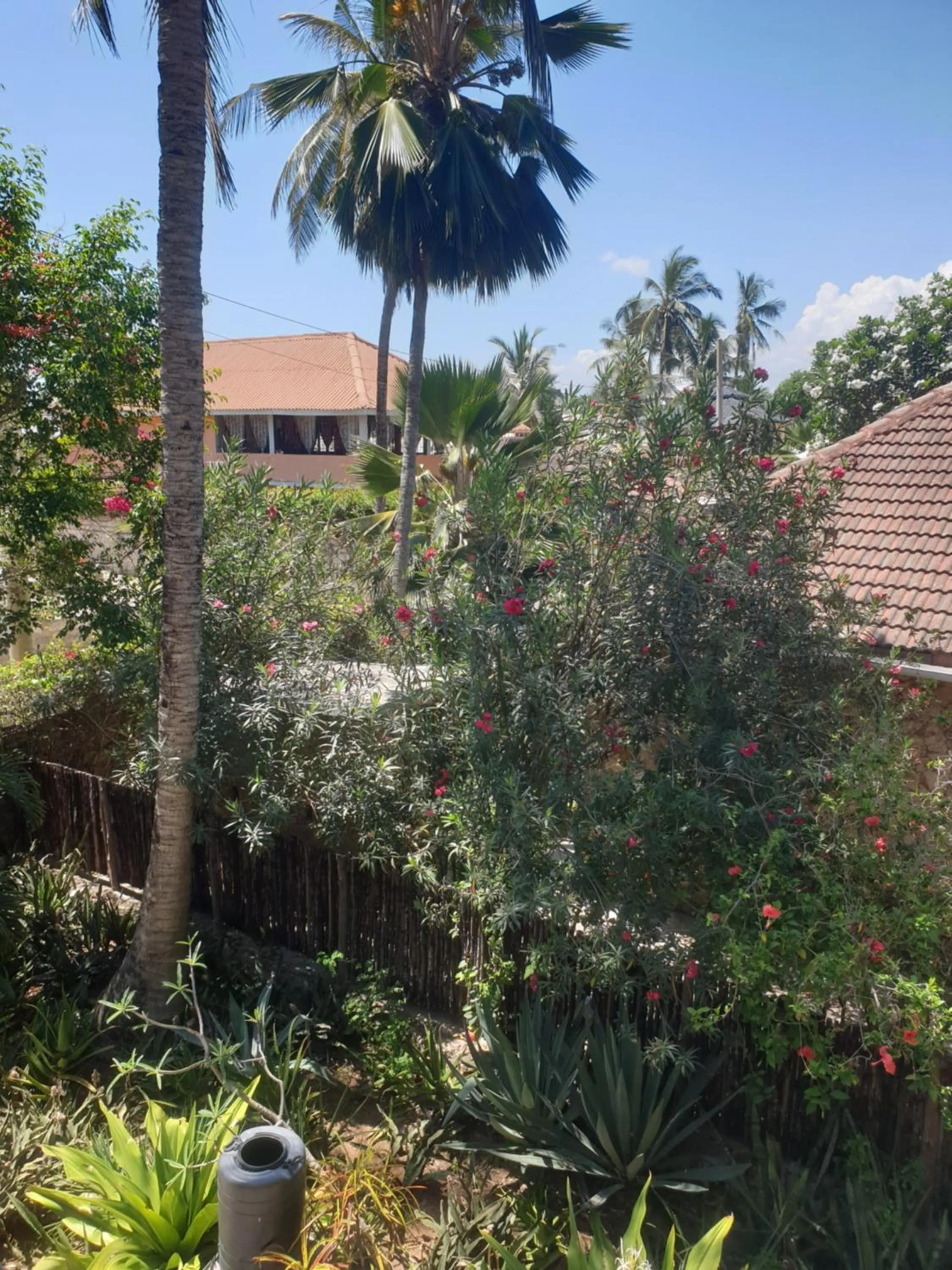 View (from property/room) in Marijani Holiday Resort