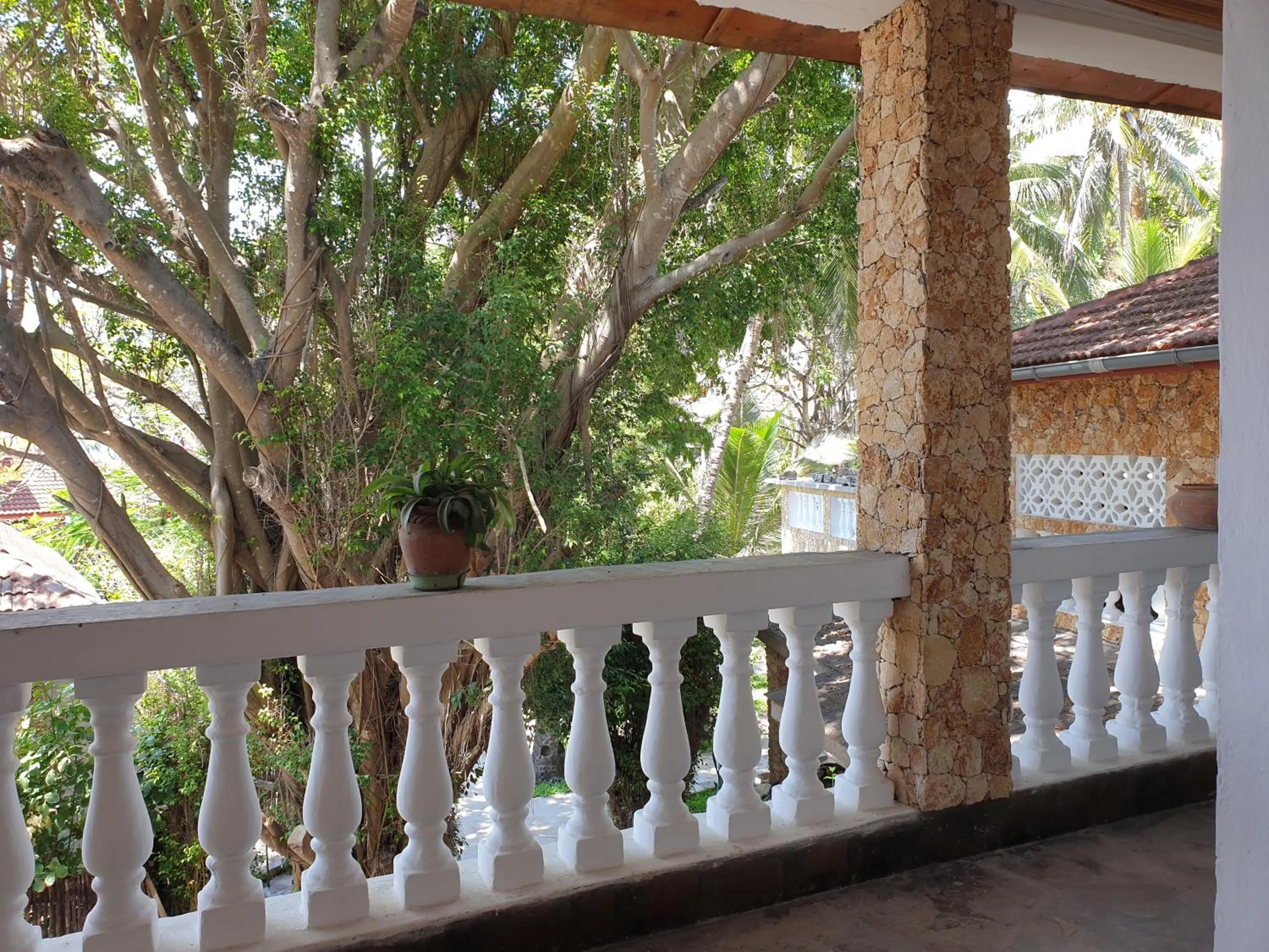 Garden in Marijani Holiday Resort