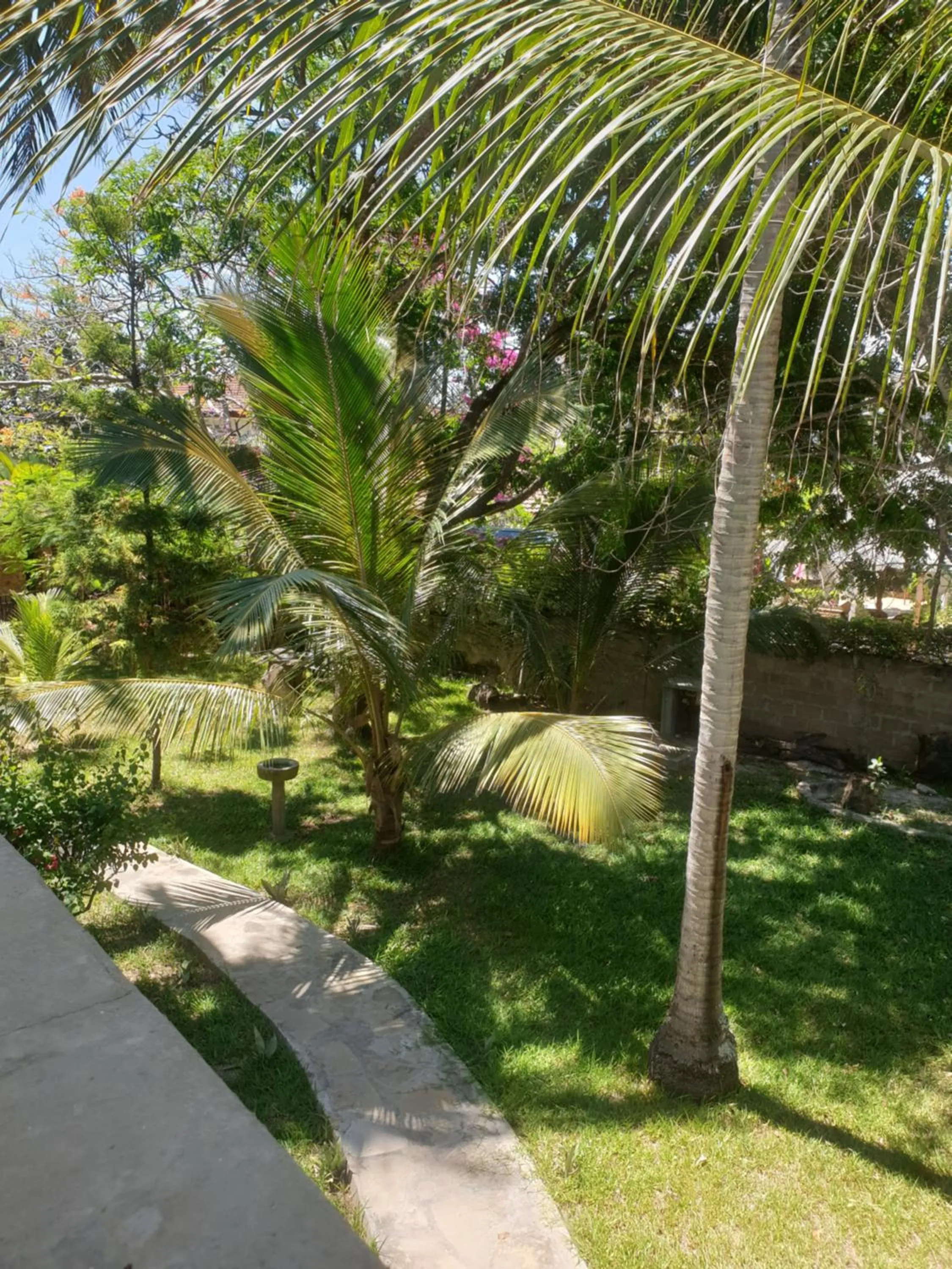 Garden in Marijani Holiday Resort