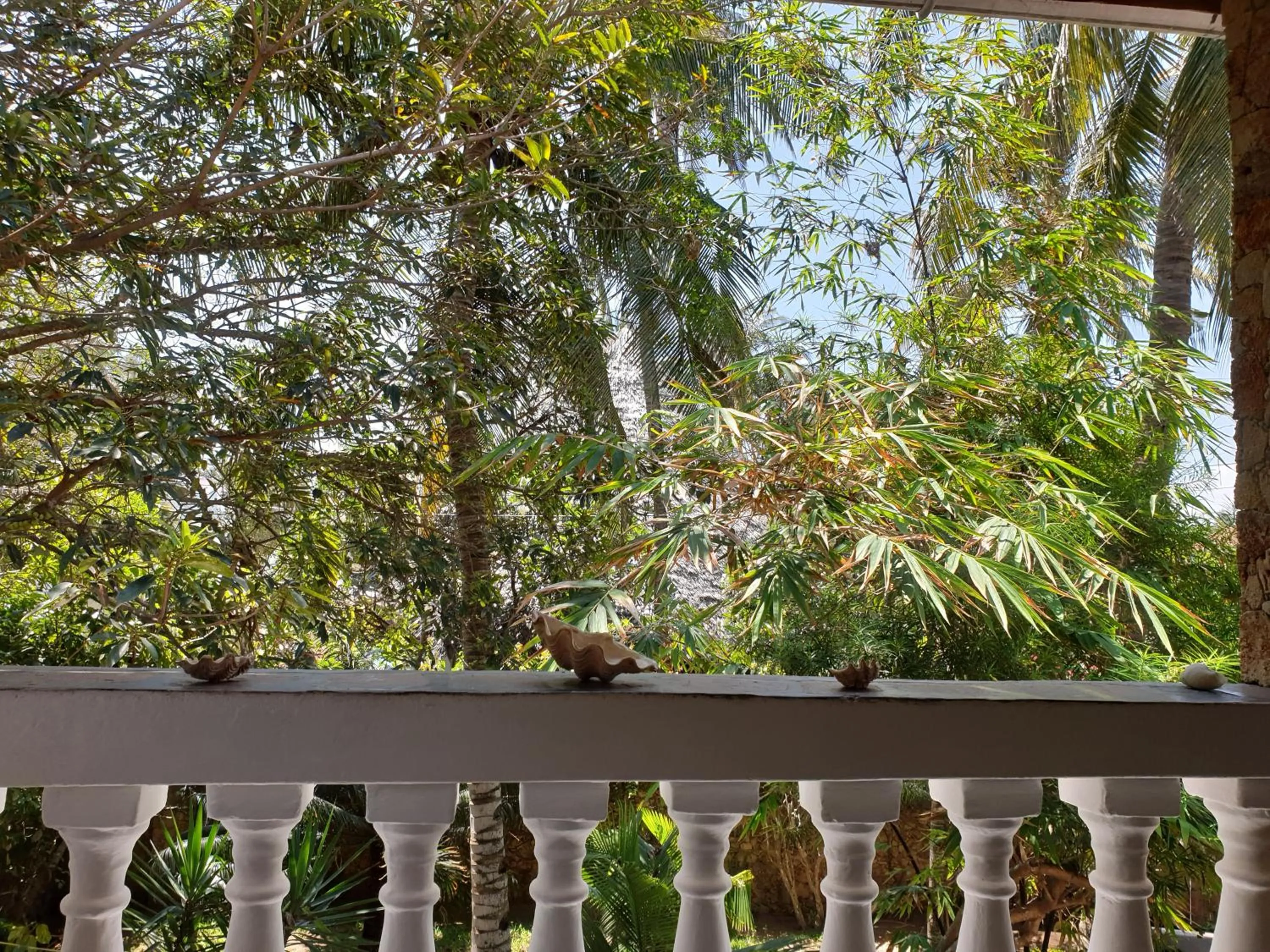 Garden in Marijani Holiday Resort