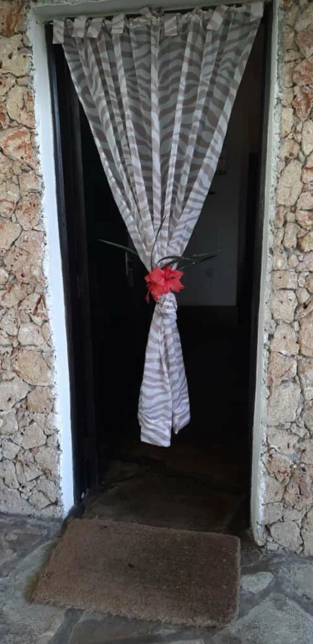 Area and facilities in Marijani Holiday Resort