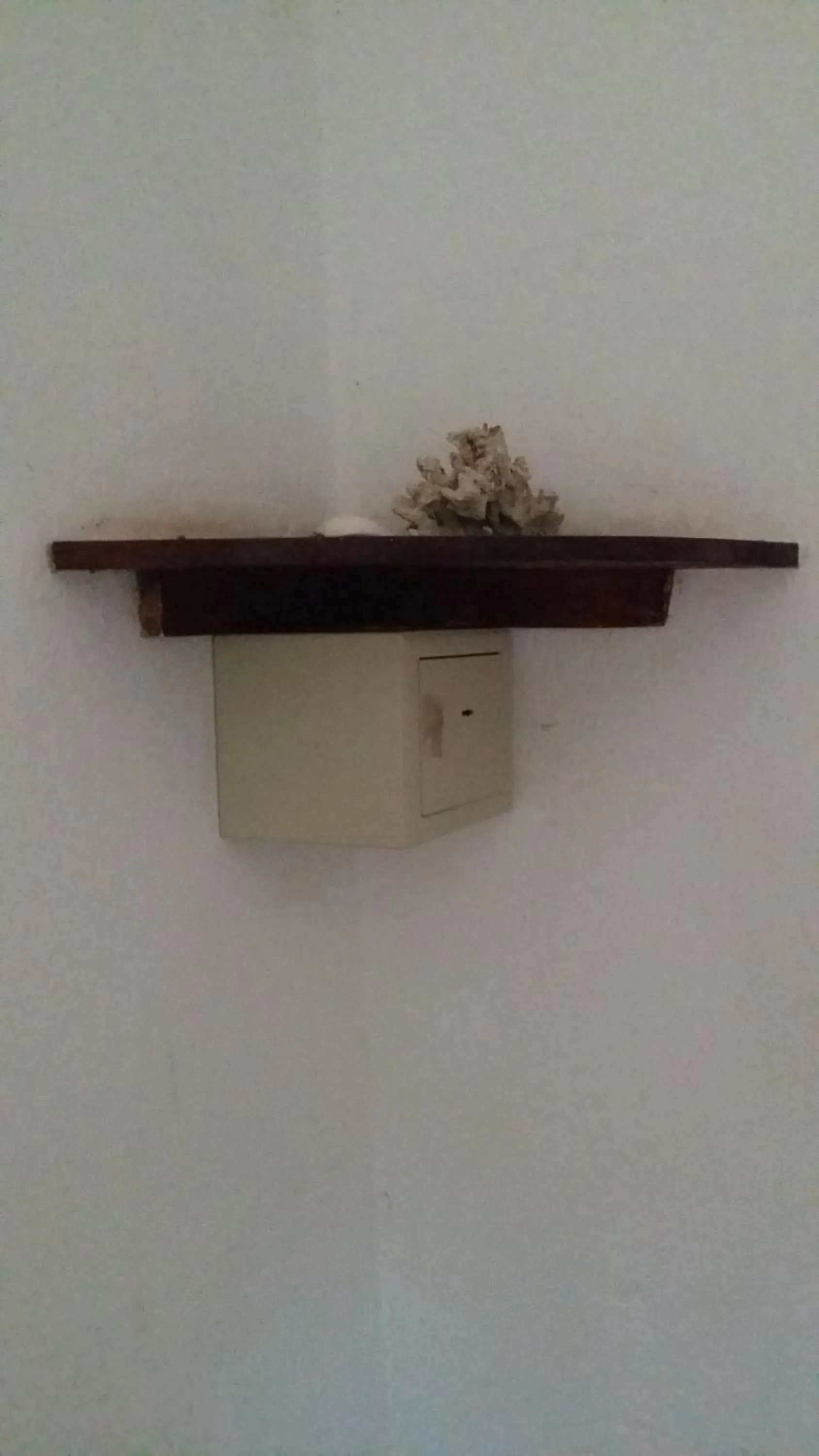 Other in Marijani Holiday Resort