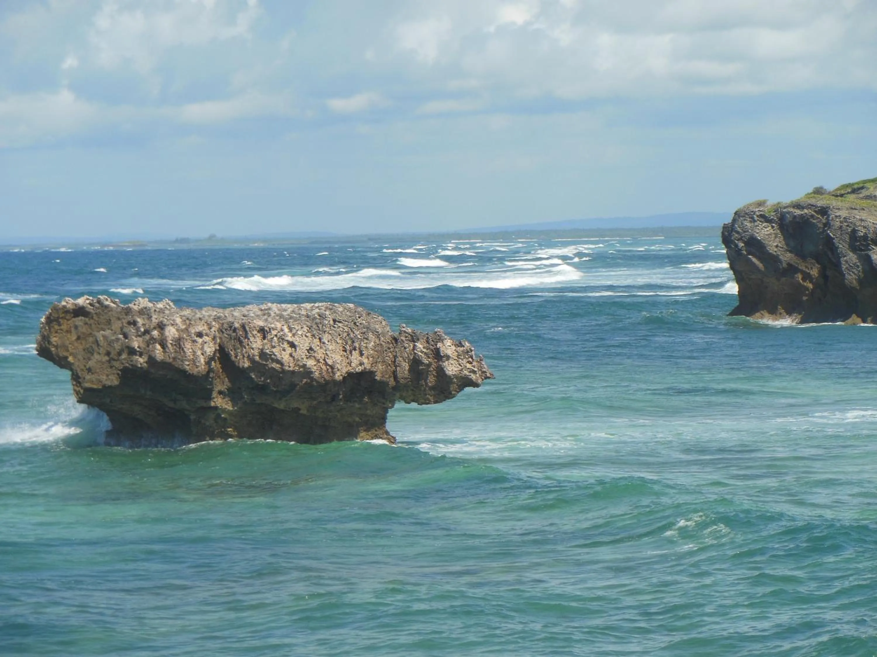 Day in Marijani Holiday Resort