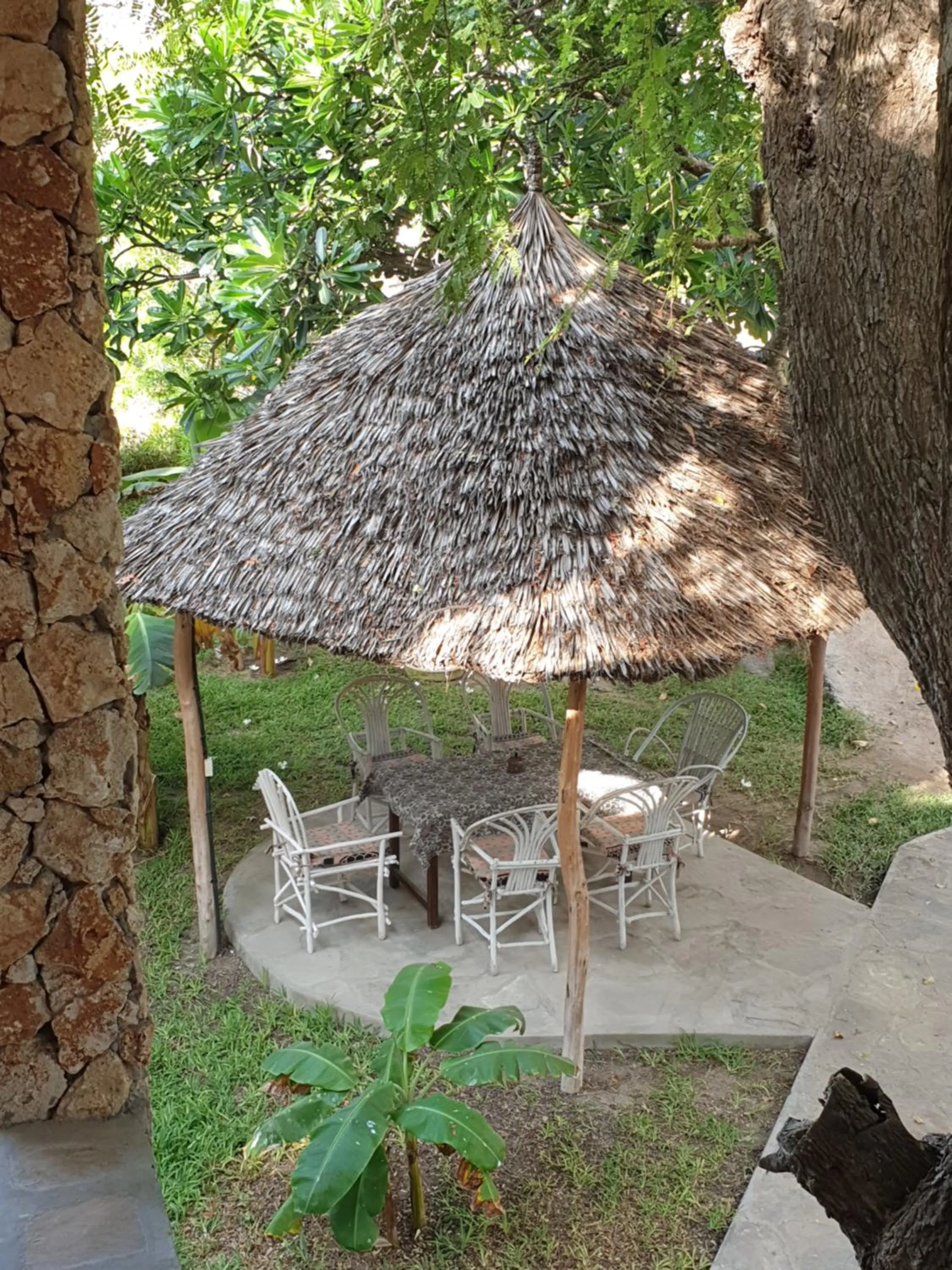 Garden in Marijani Holiday Resort