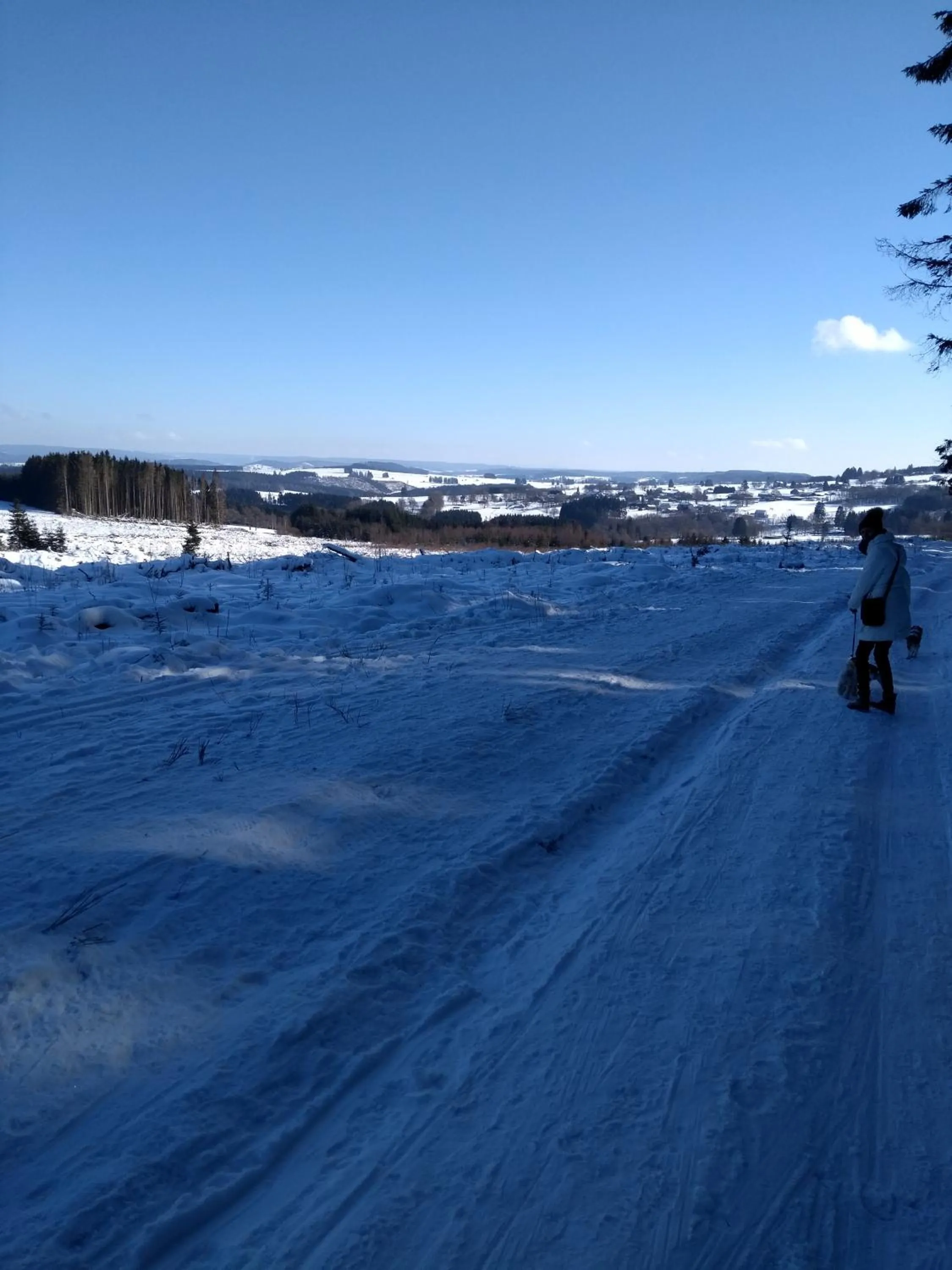 Skiing in B&B Maison Honorine