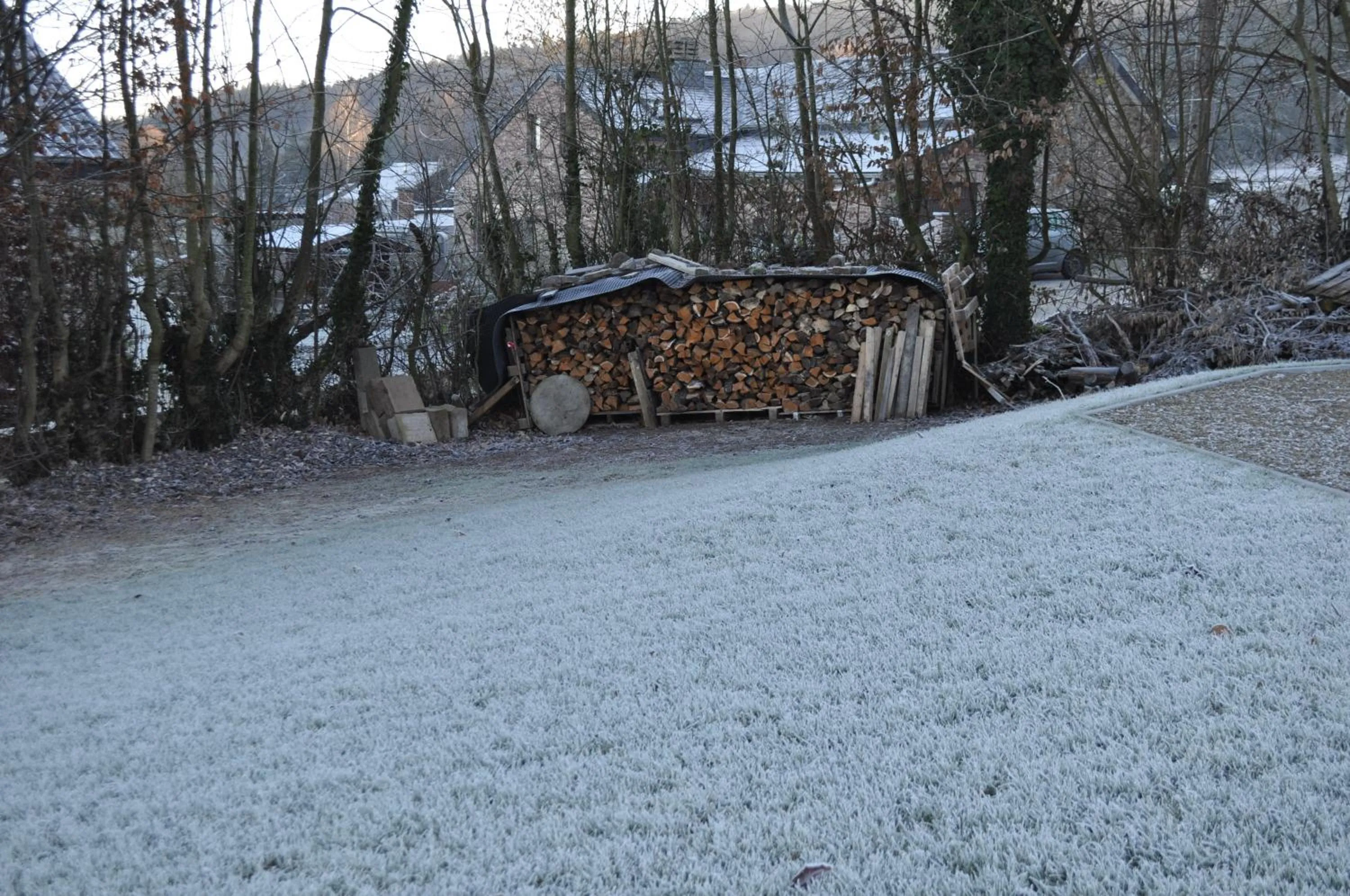 Garden view in B&B Maison Honorine