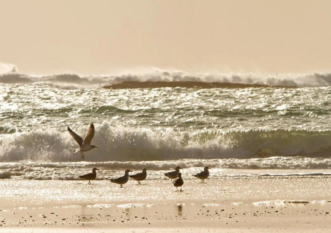 Day in Bayview Hotel