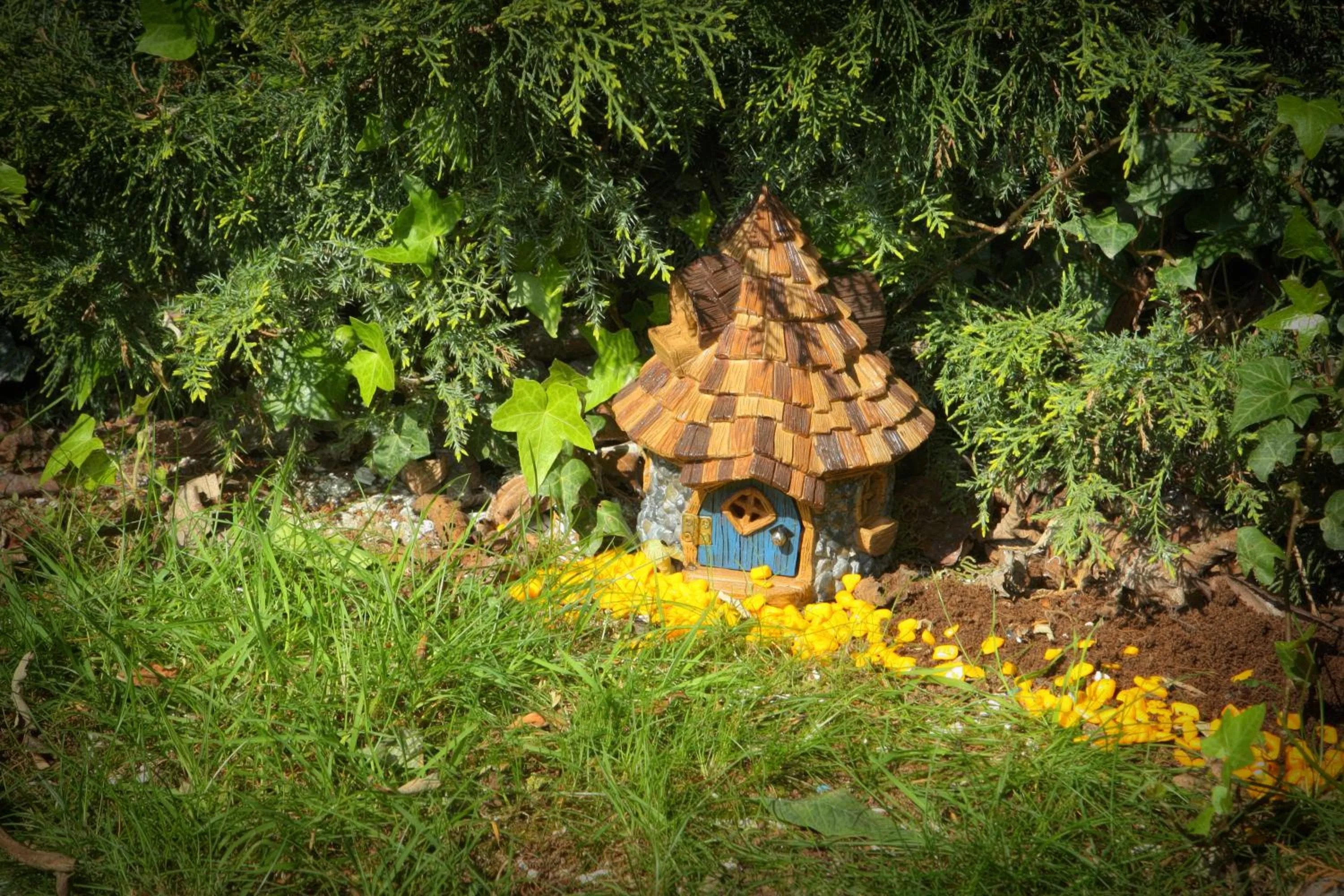 Garden in Fitzgeralds Woodlands House Hotel