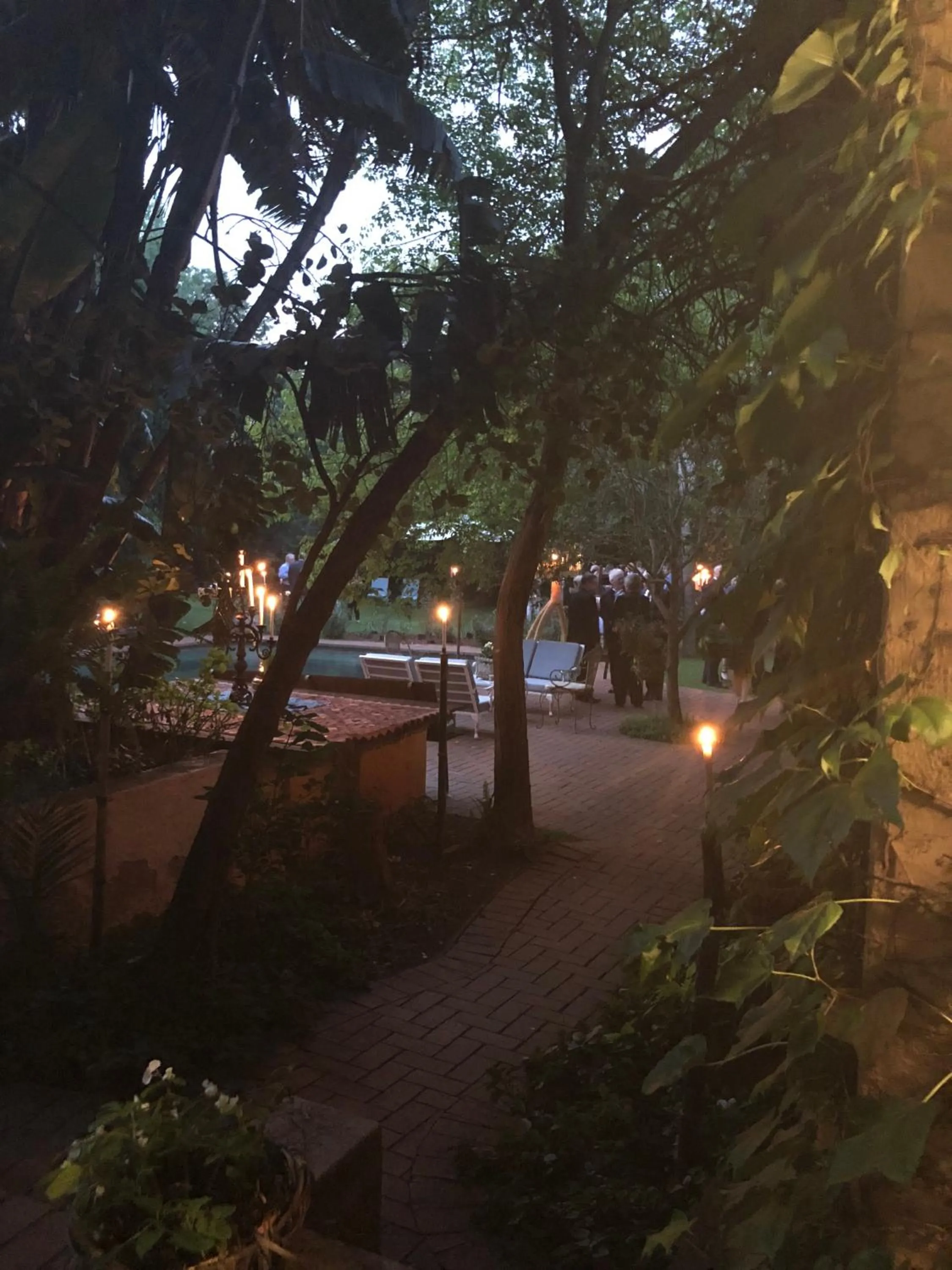 Garden in Foxwood House Boutique Hotel