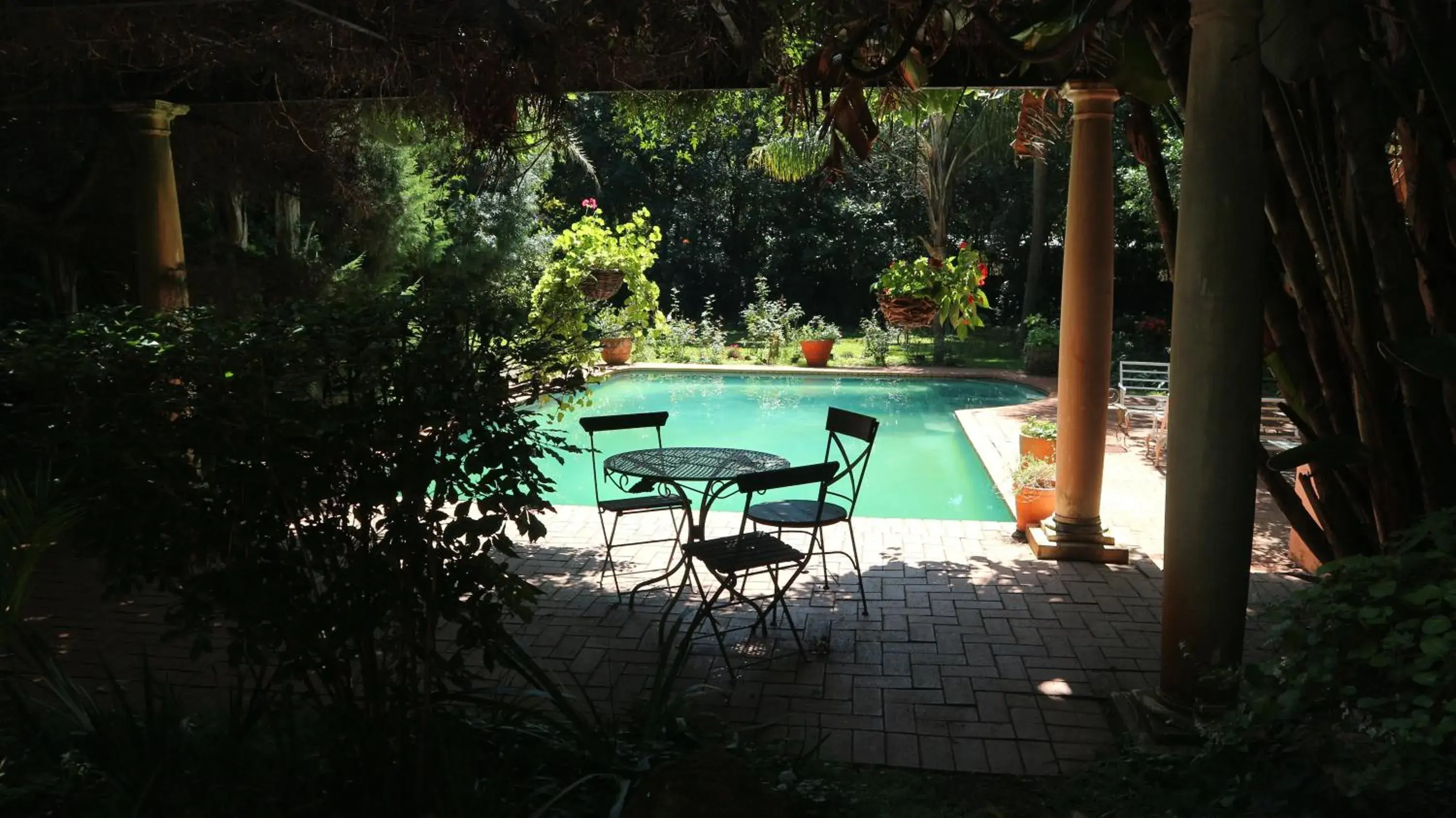 Queen Room with Garden View - single occupancy in Foxwood House Boutique Hotel Queen Room with Garden View - single occupancy in Foxwood House Boutique Hotel