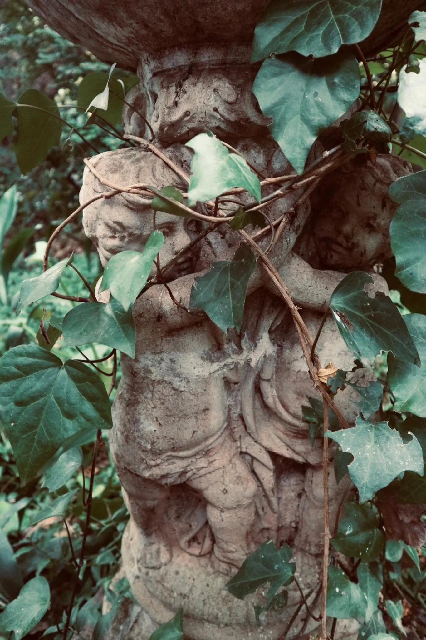 Foxwood House Boutique Hotel