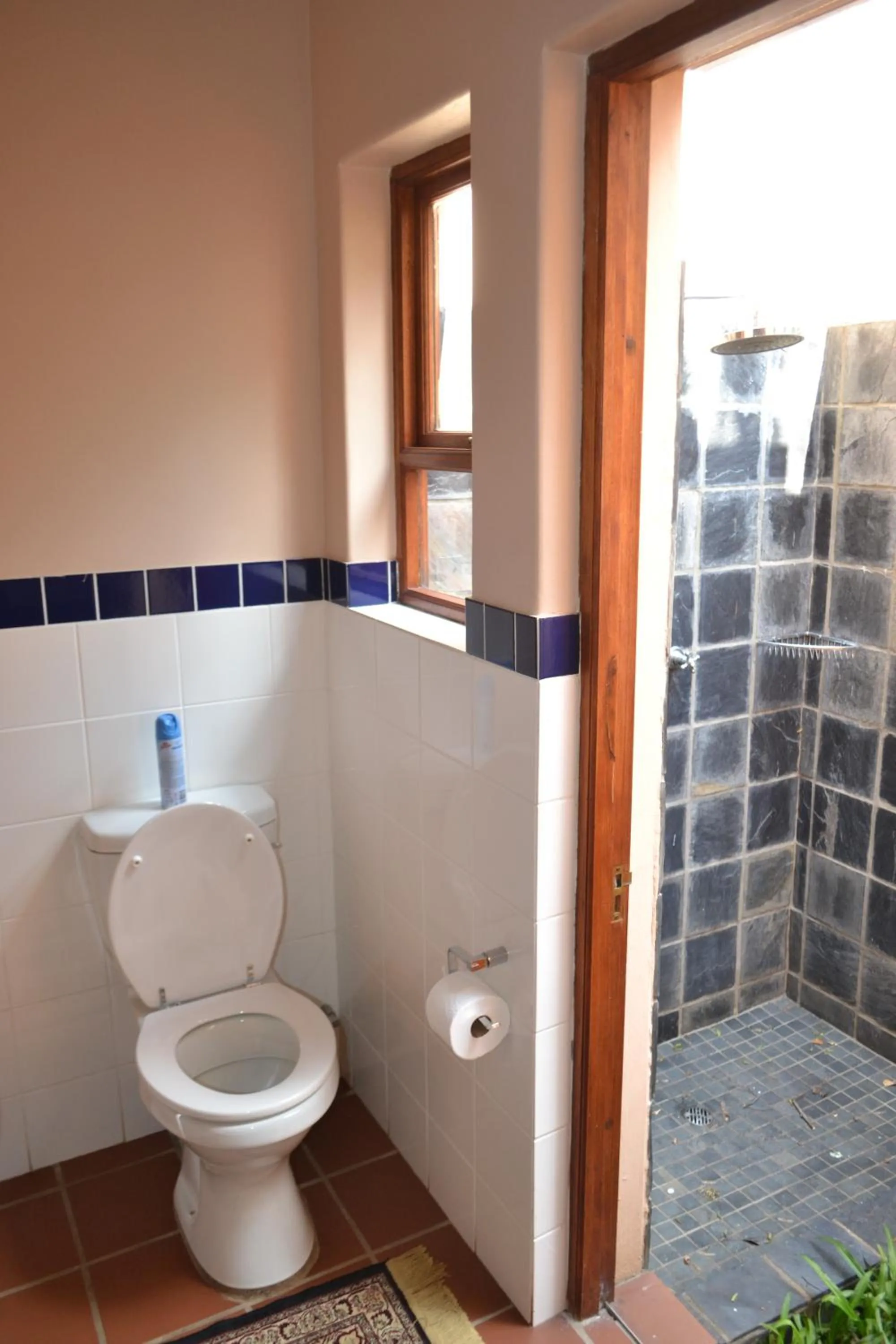 Toilet in Foxwood House Boutique Hotel