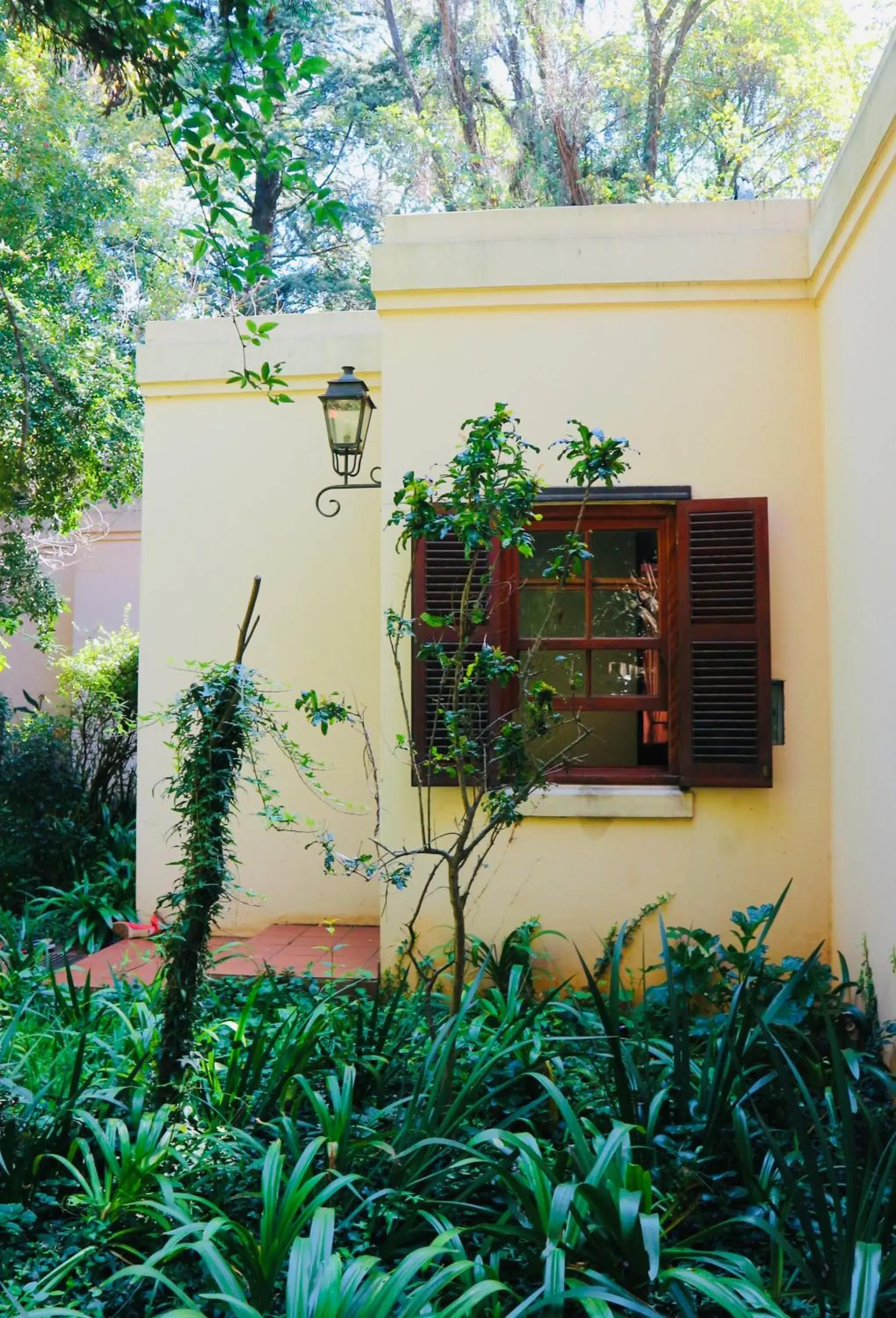 Deluxe King Room - single occupancy in Foxwood House Boutique Hotel Deluxe King Room - single occupancy in Foxwood House Boutique Hotel