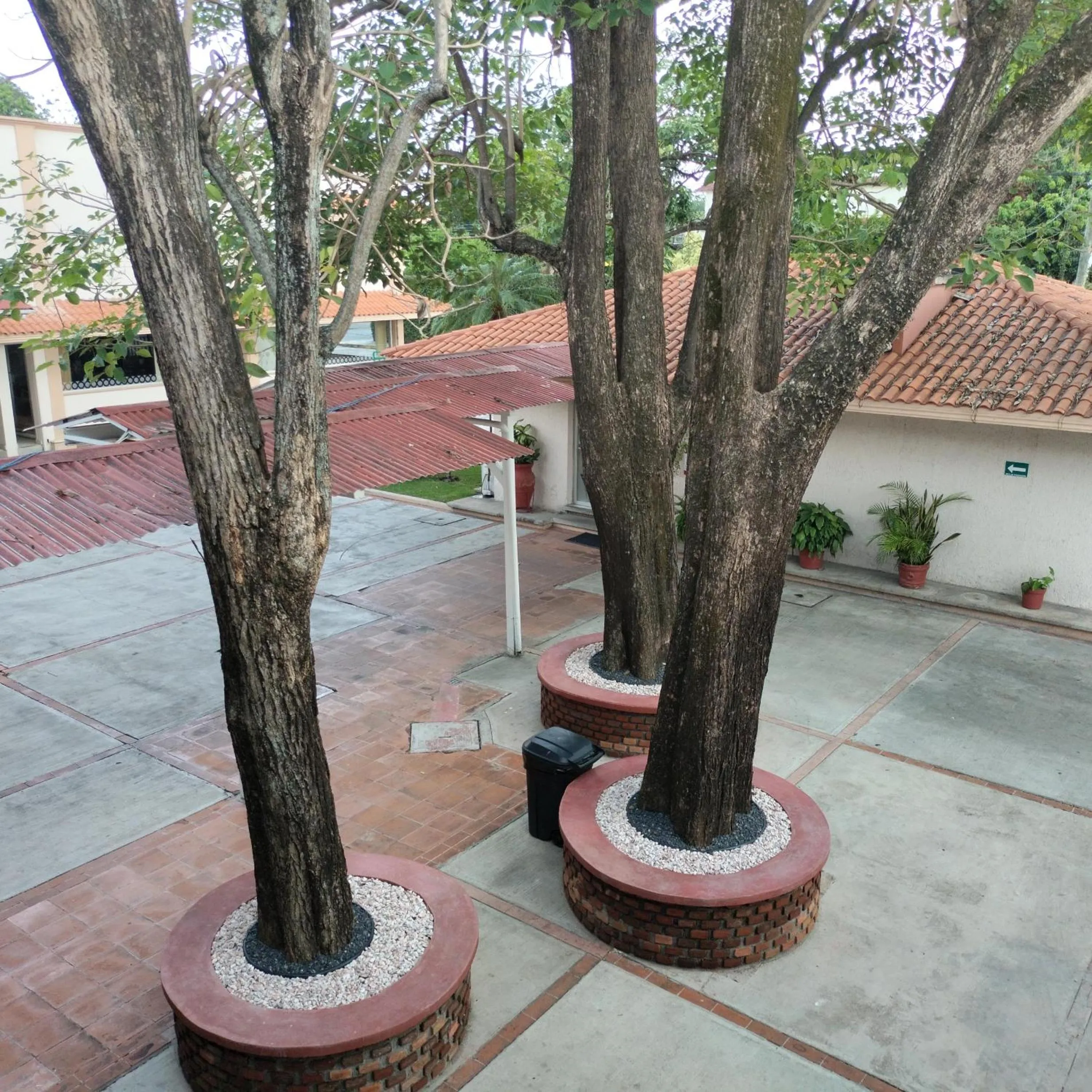 Garden in Villa Esmeralda