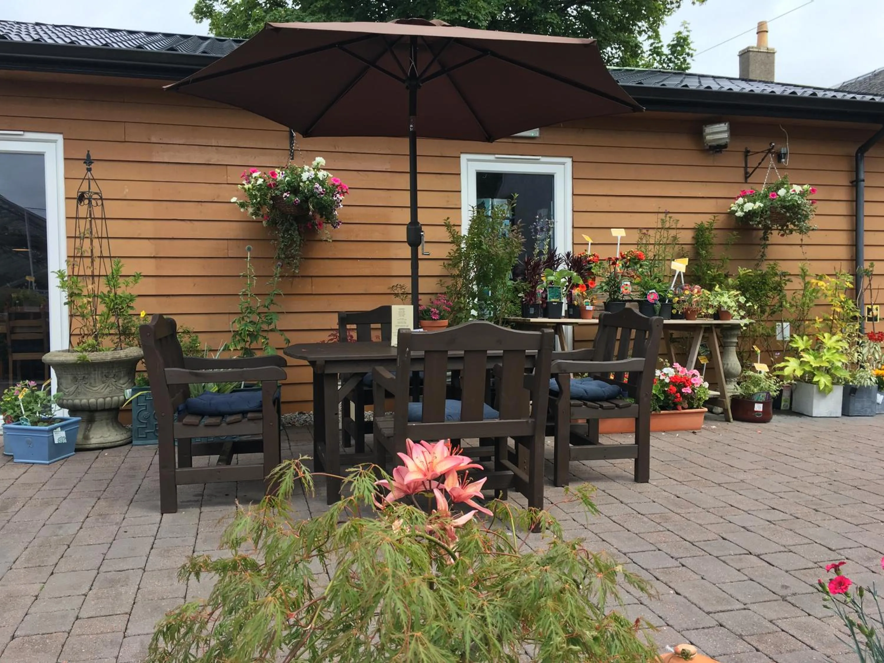 Restaurant/places to eat in the house@glenbarr