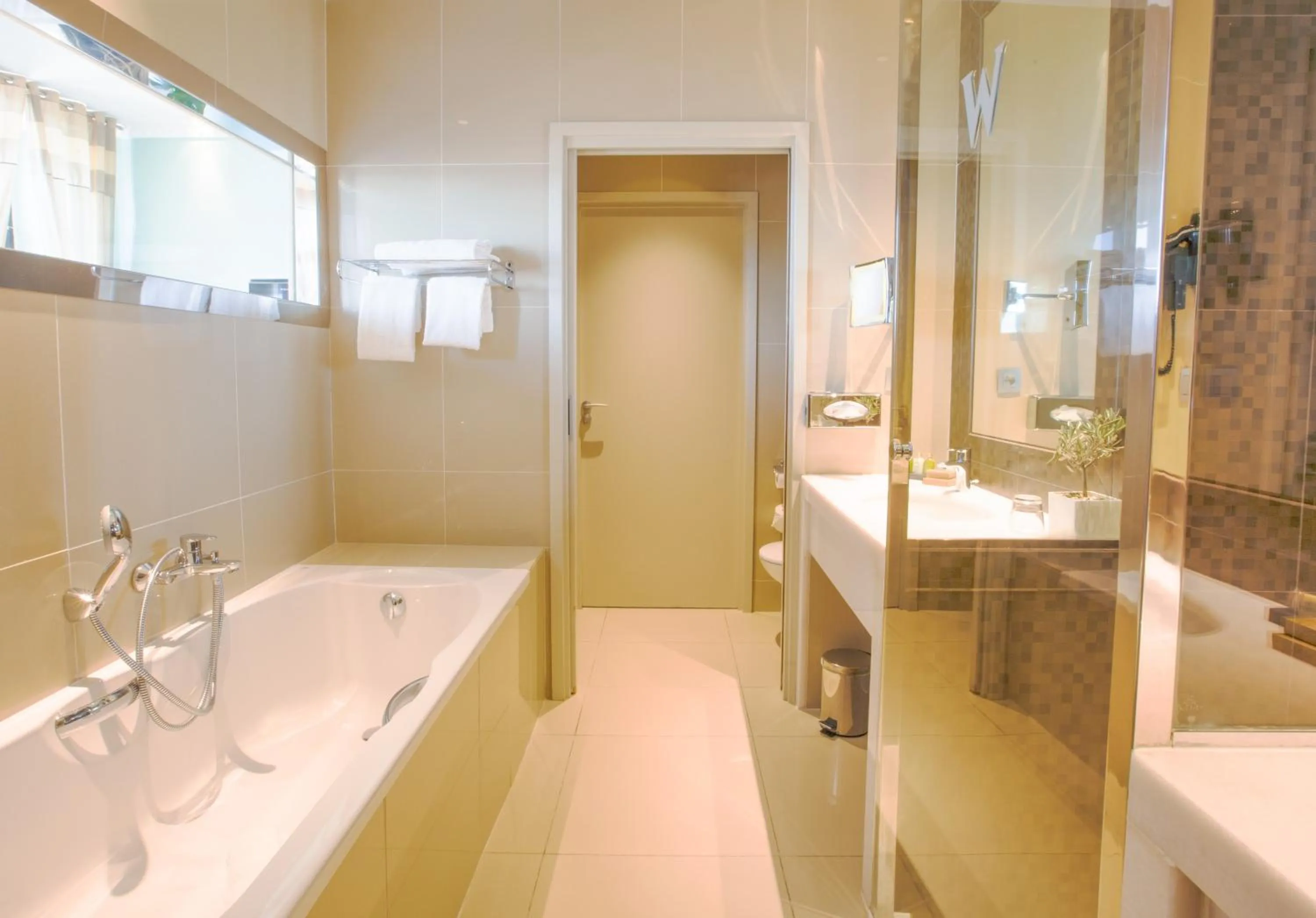 Shower in Westminster Hotel & Spa Nice