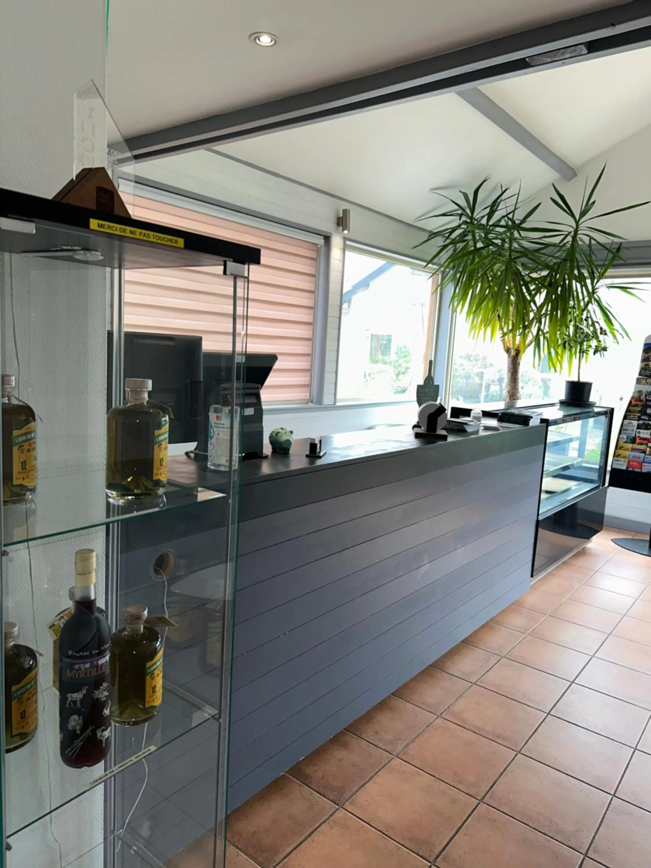 Lobby or reception in Logis Hôtel Volcan Sancy