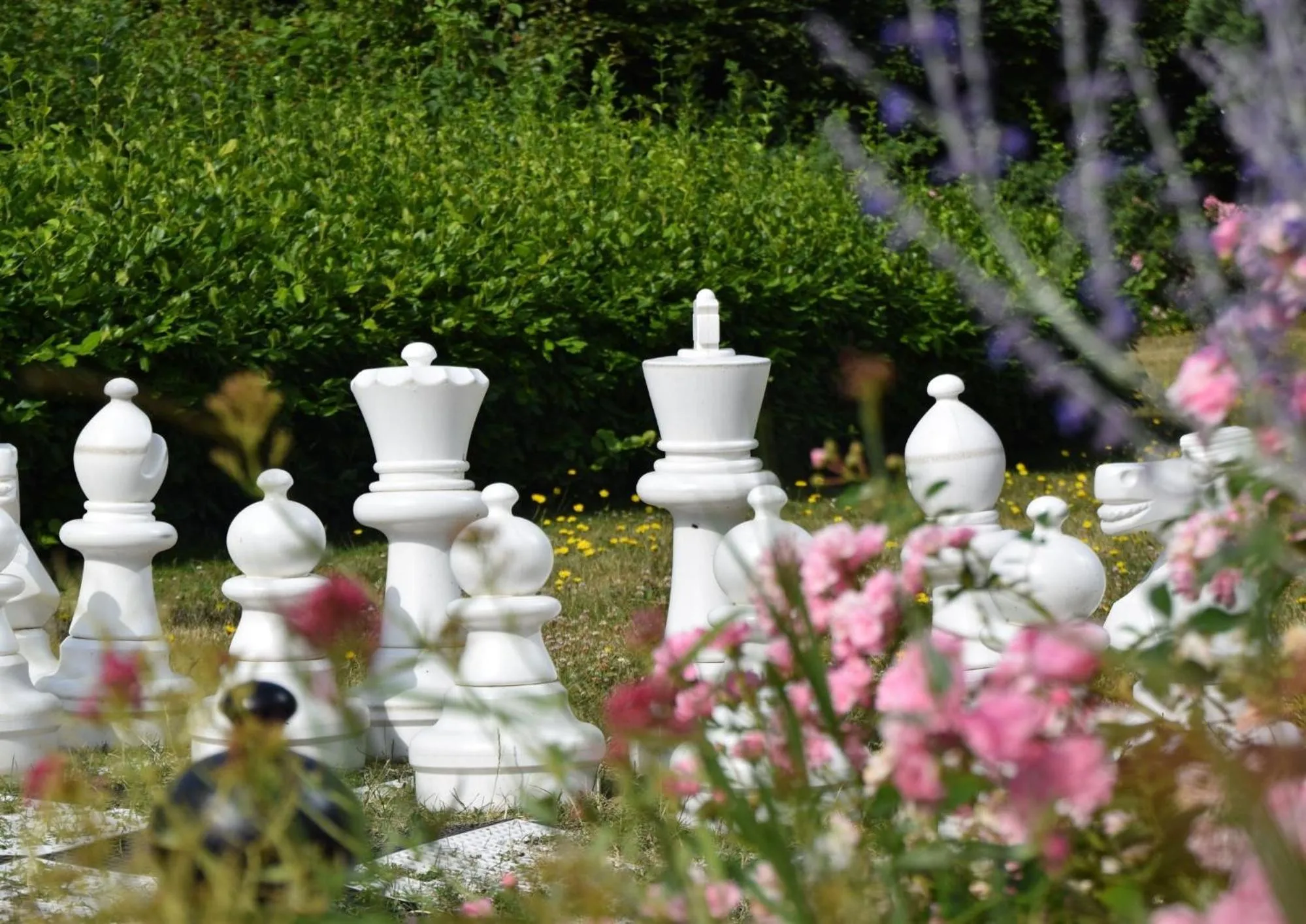 Natural landscape in The Jangle Hotel - Paris - Charles de Gaulle - Airport