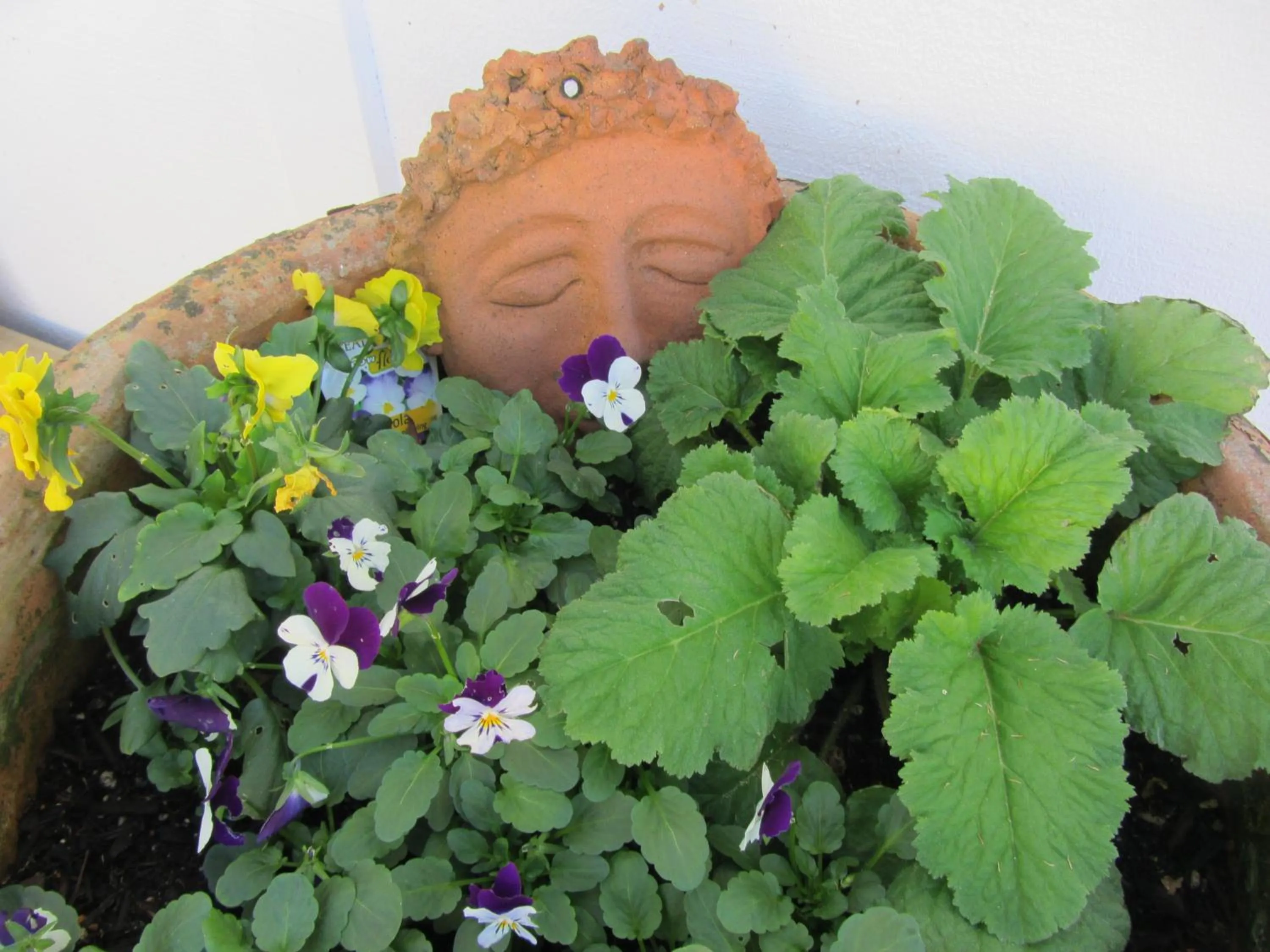 Garden in Welbourn Accommodation