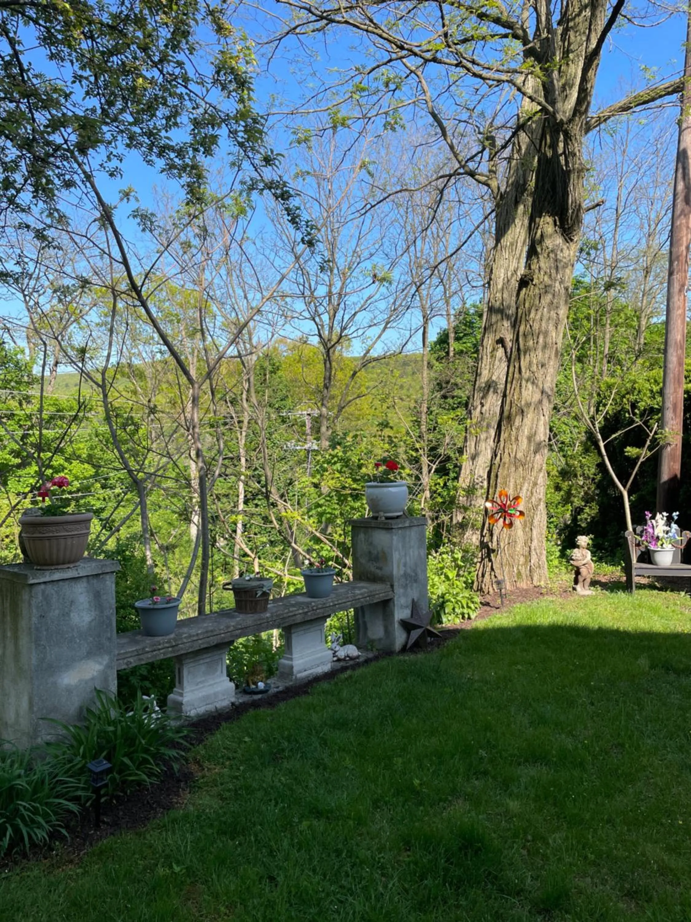 Natural landscape in Hillcrest Bed and Breakfast
