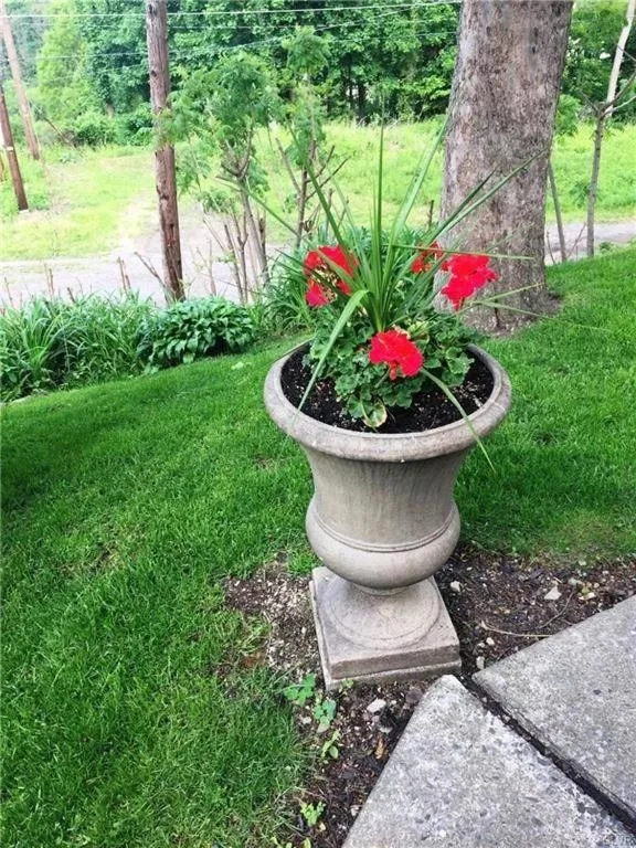 Area and facilities in Hillcrest Bed and Breakfast