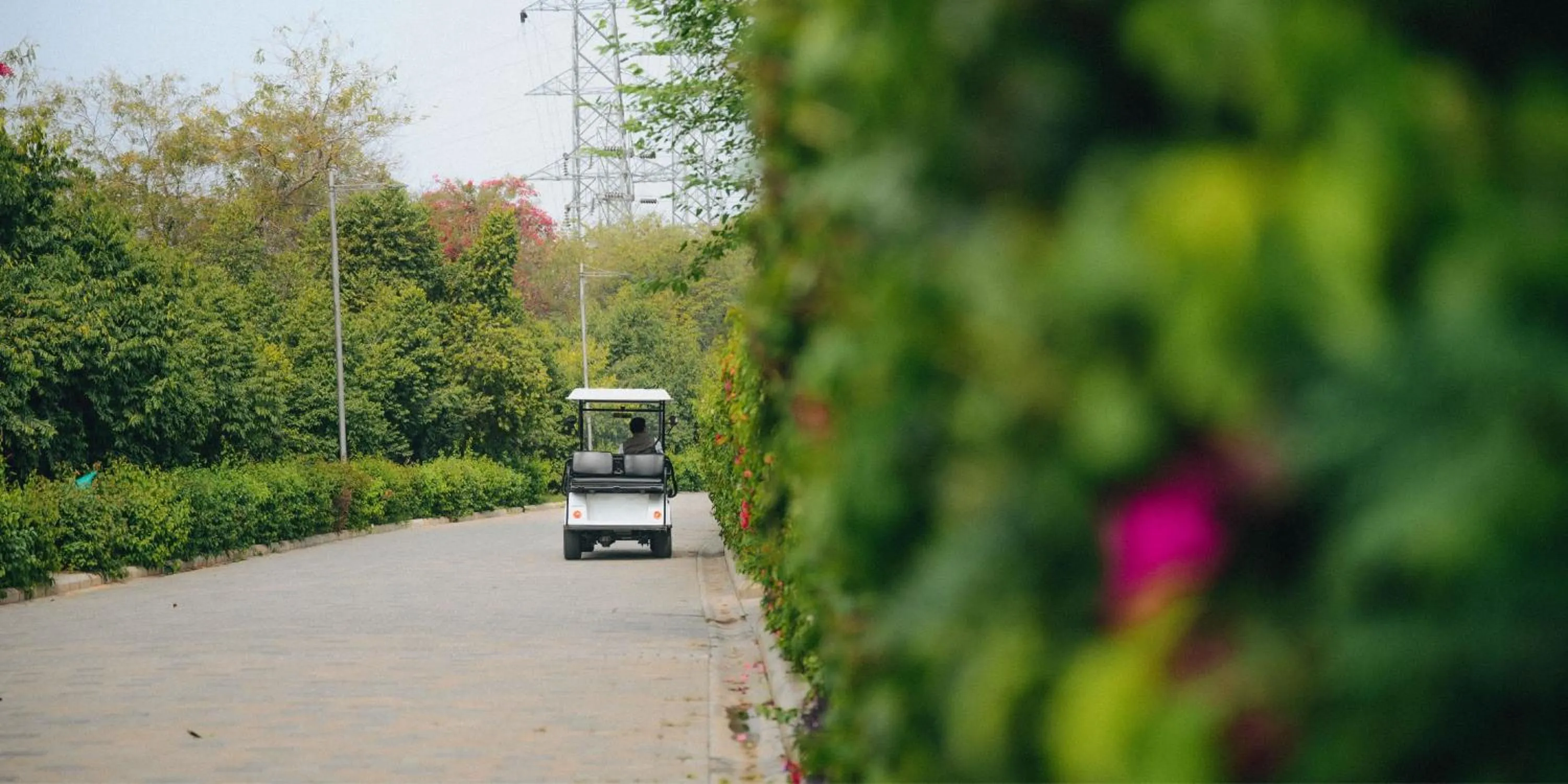 Natural landscape in Karma Chalets