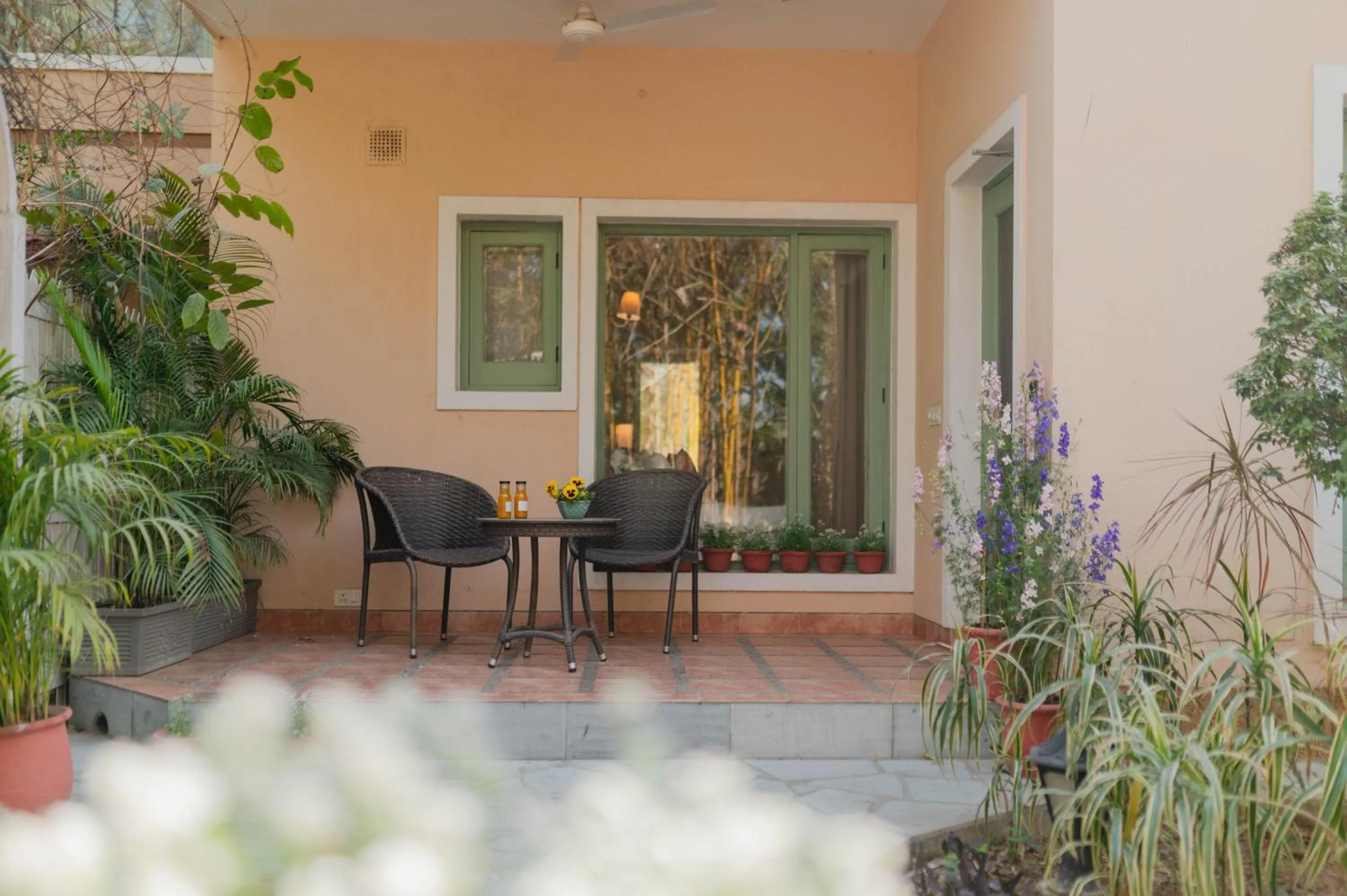 Garden view in Karma Chalets