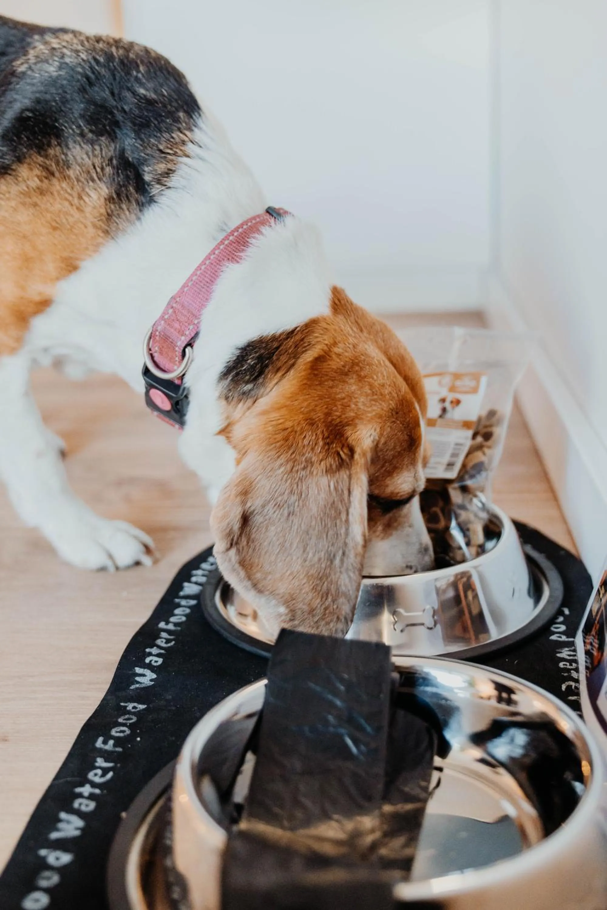 Property building in Sonnenresort Ettershaus