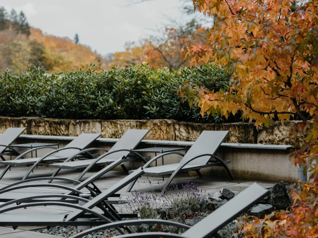 Swimming pool in Sonnenresort Ettershaus