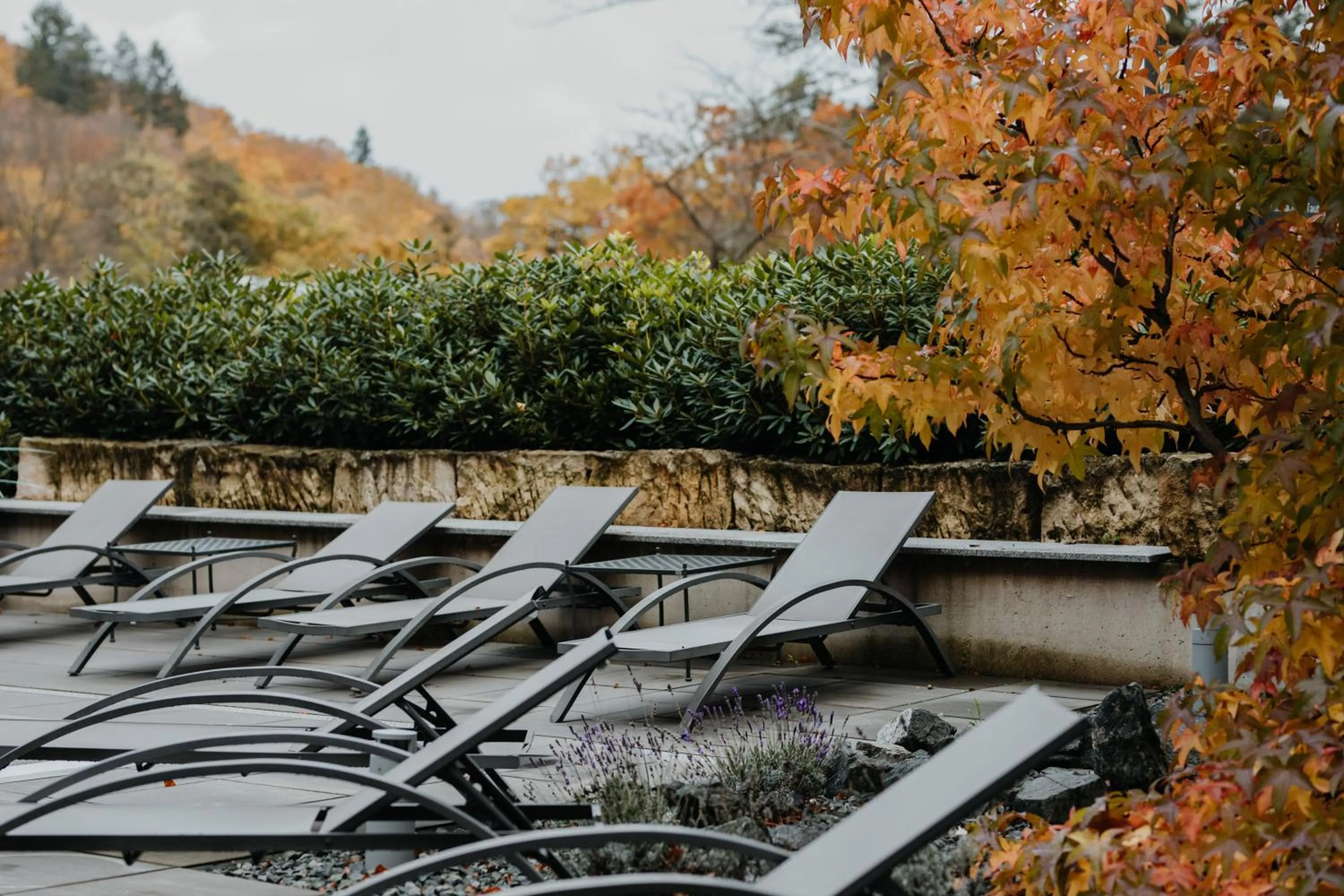 Swimming pool in Sonnenresort Ettershaus