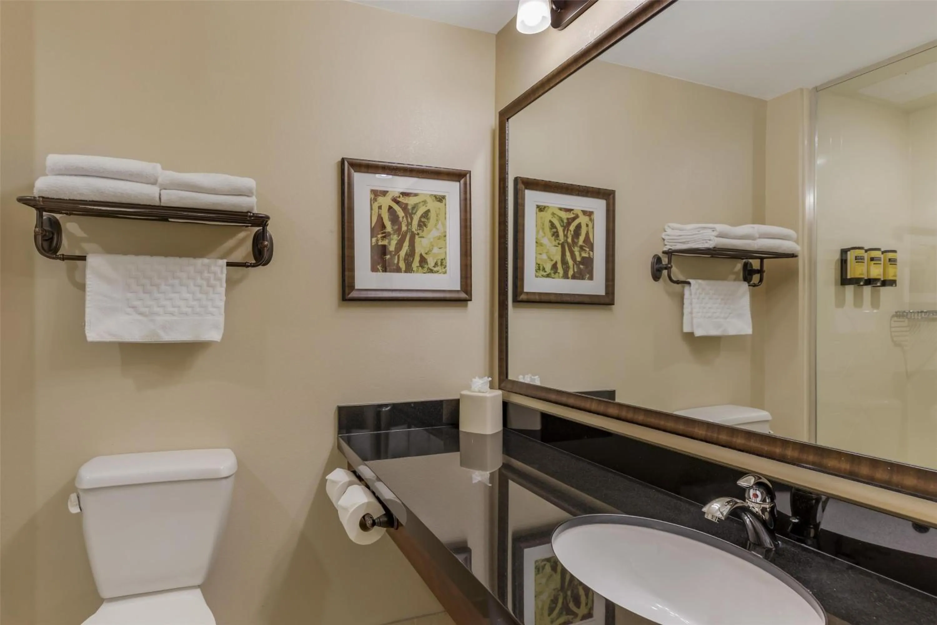 Bathroom in Best Western Plus Hudson Hotel & Suites