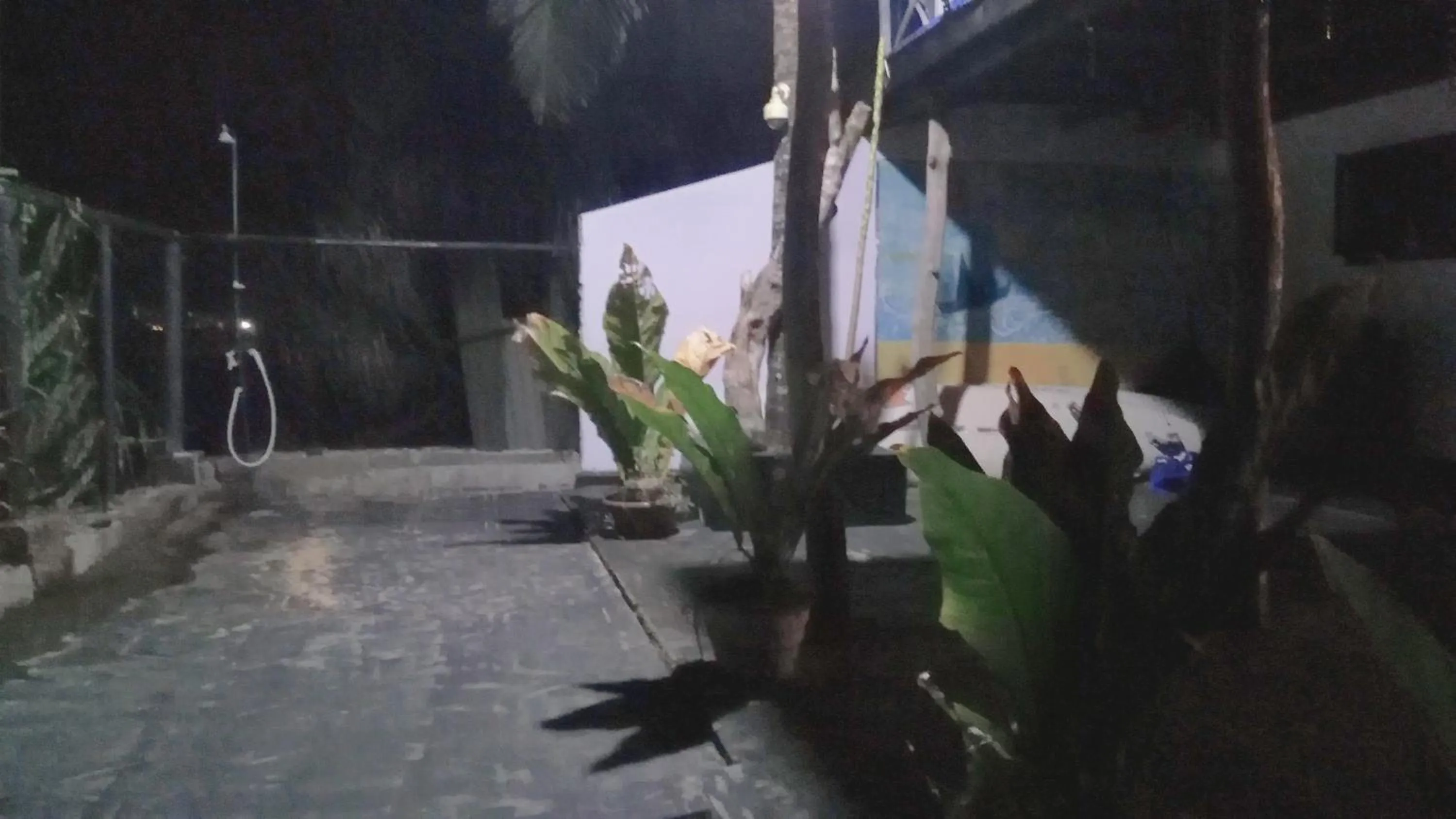 Restaurant/places to eat in Villa crocodile beach