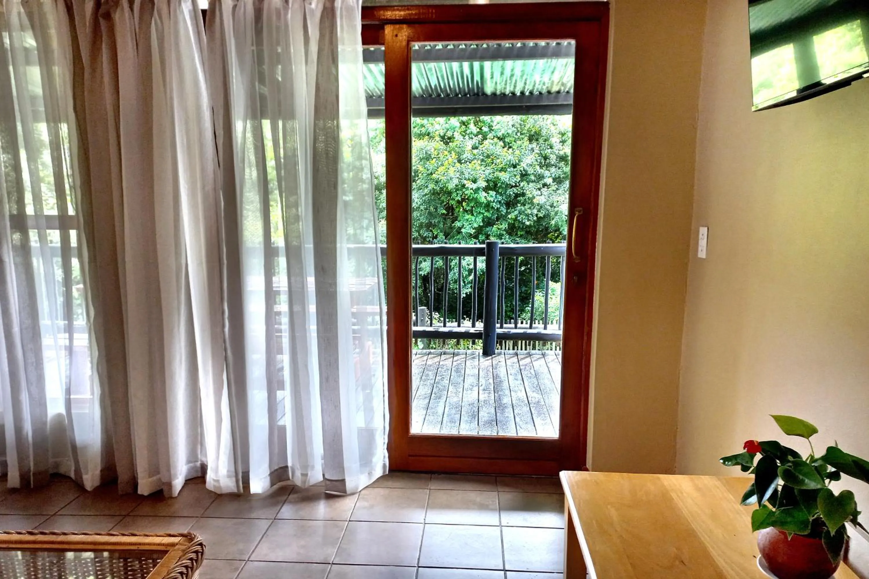 Garden view in Mount Sheba Rainforest Hotel - Mountain Spring Water