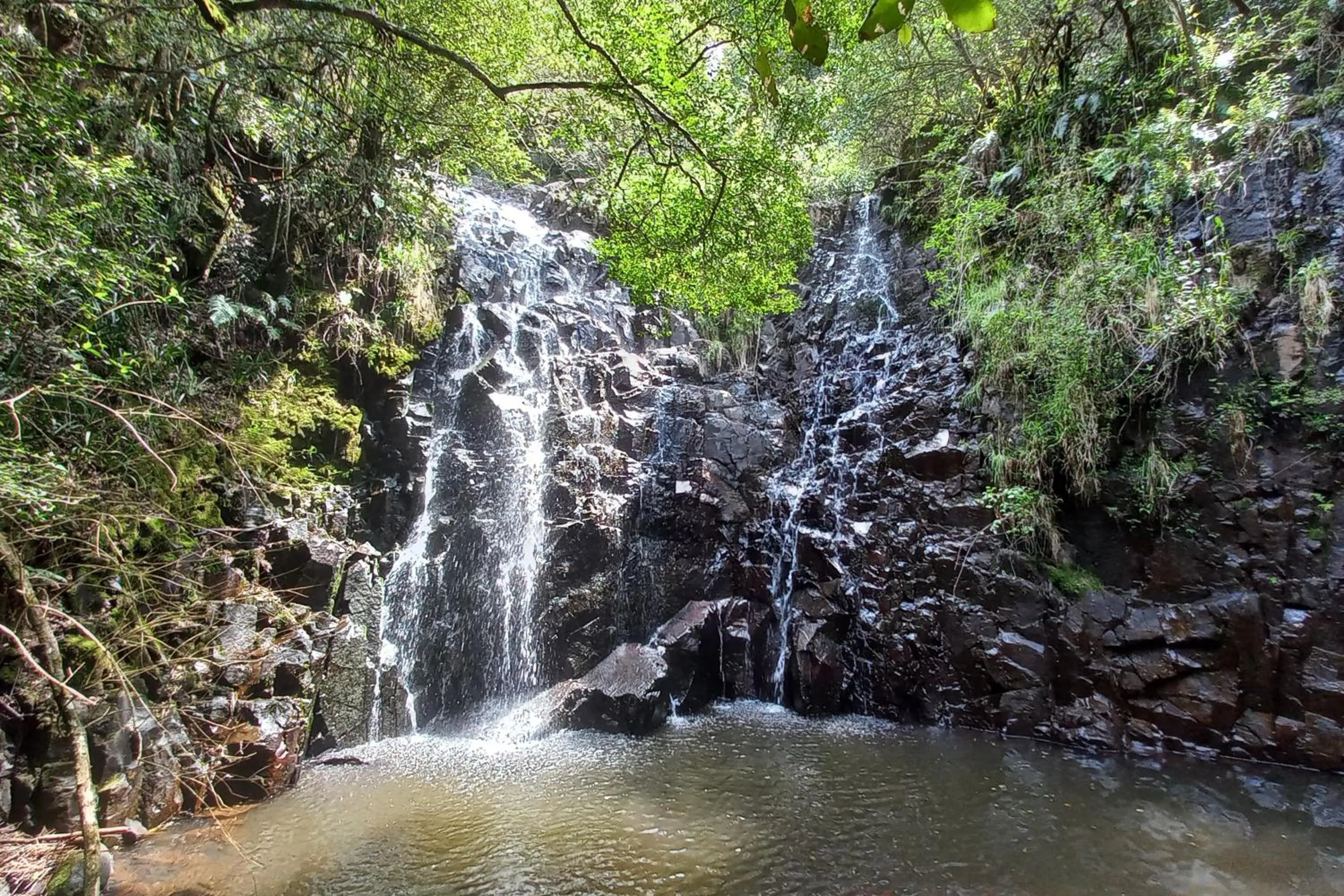 Spring in Mount Sheba Rainforest Hotel - Mountain Spring Water