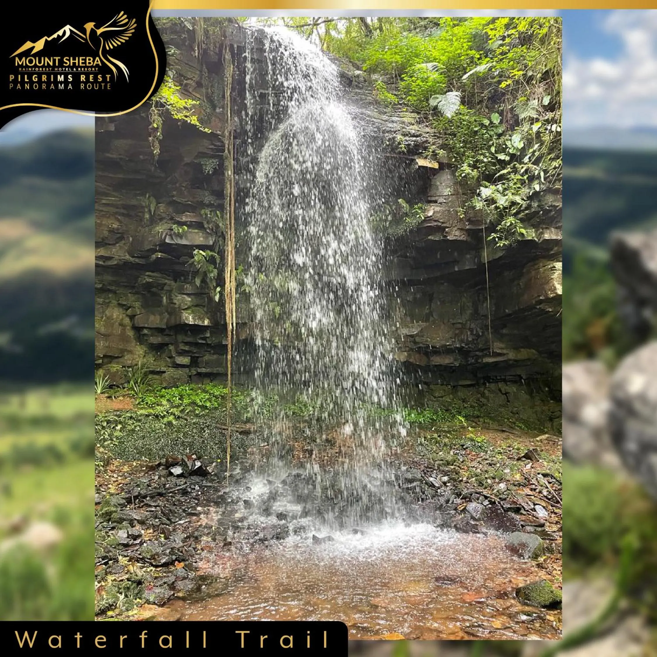 Day in Mount Sheba Rainforest Hotel - Mountain Spring Water