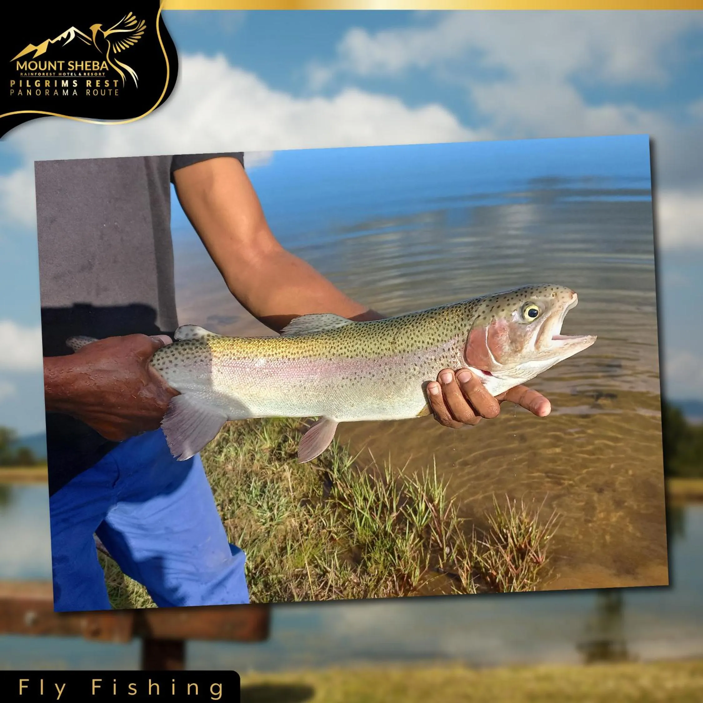 Fishing in Mount Sheba Rainforest Hotel - Mountain Spring Water