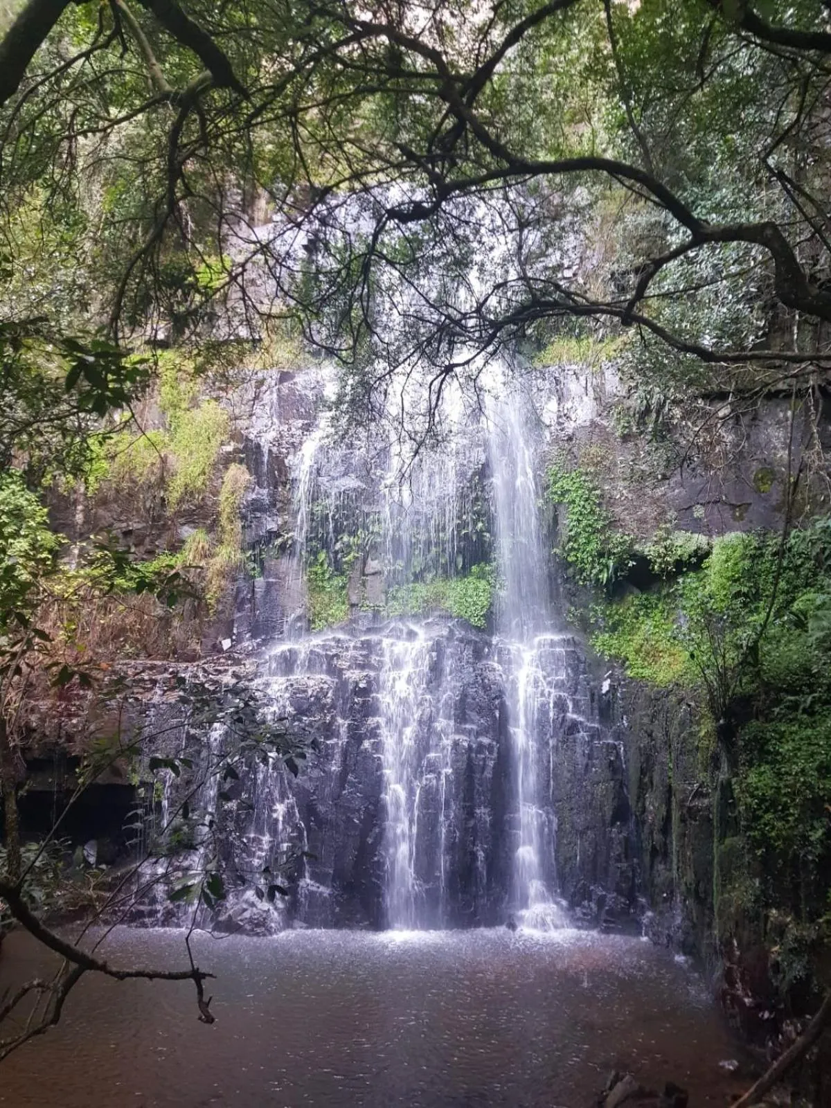 Spring in Mount Sheba Rainforest Hotel - Mountain Spring Water