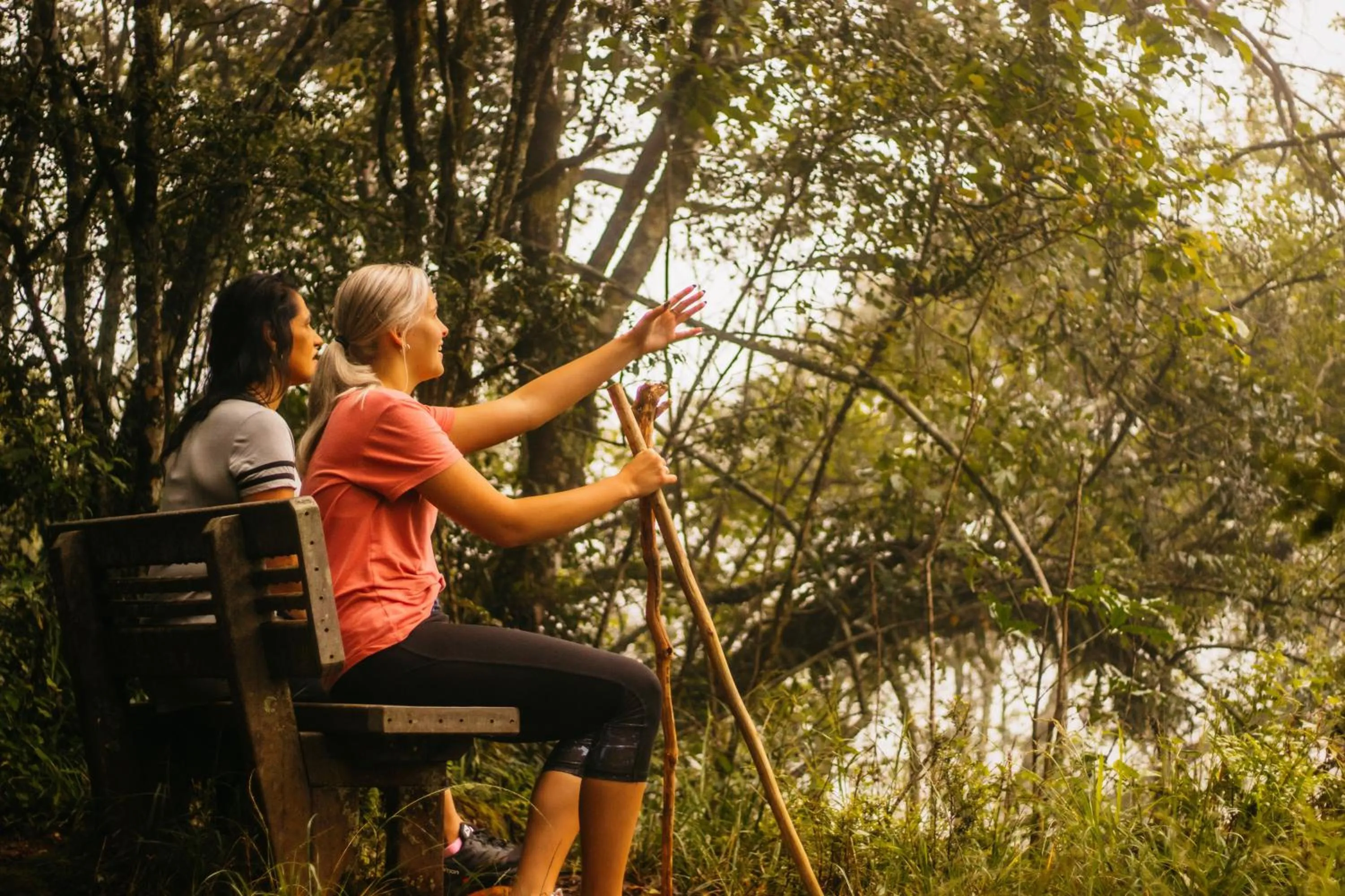 Day in Mount Sheba Rainforest Hotel - Mountain Spring Water