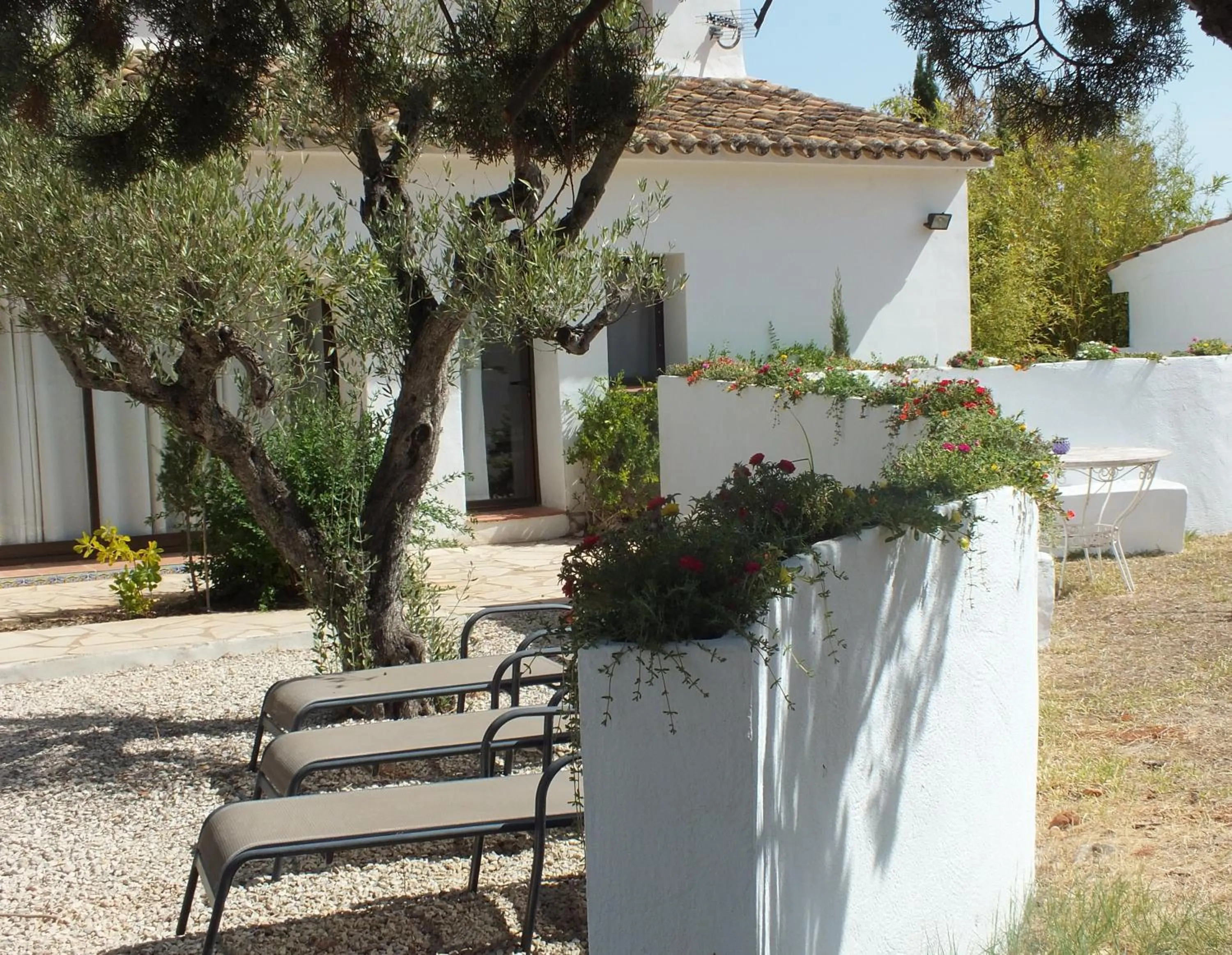 Garden in Buena Idea - Adults Only