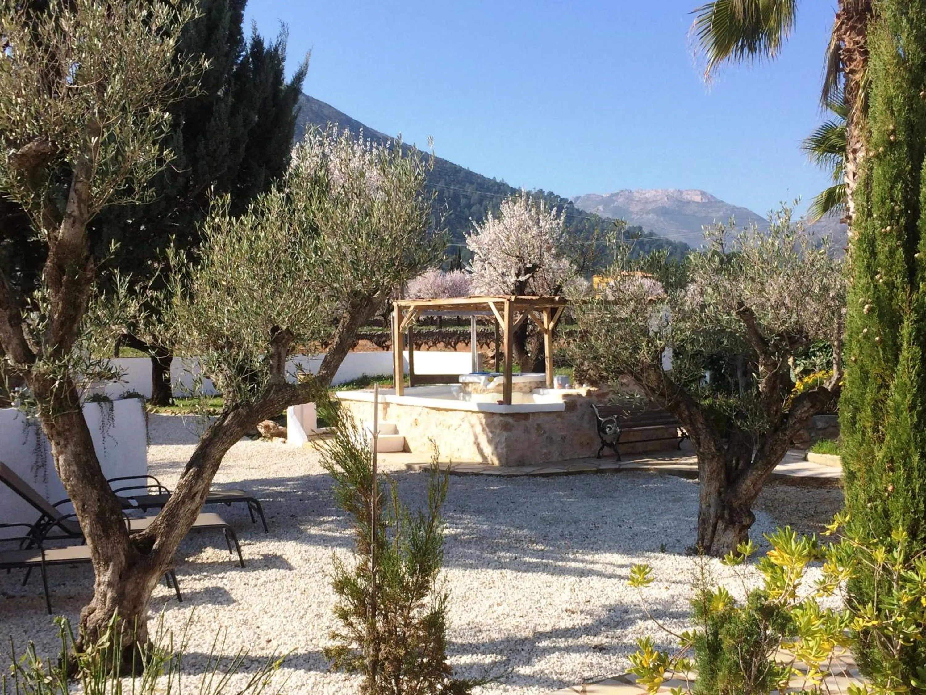 Garden view in Buena Idea - Adults Only