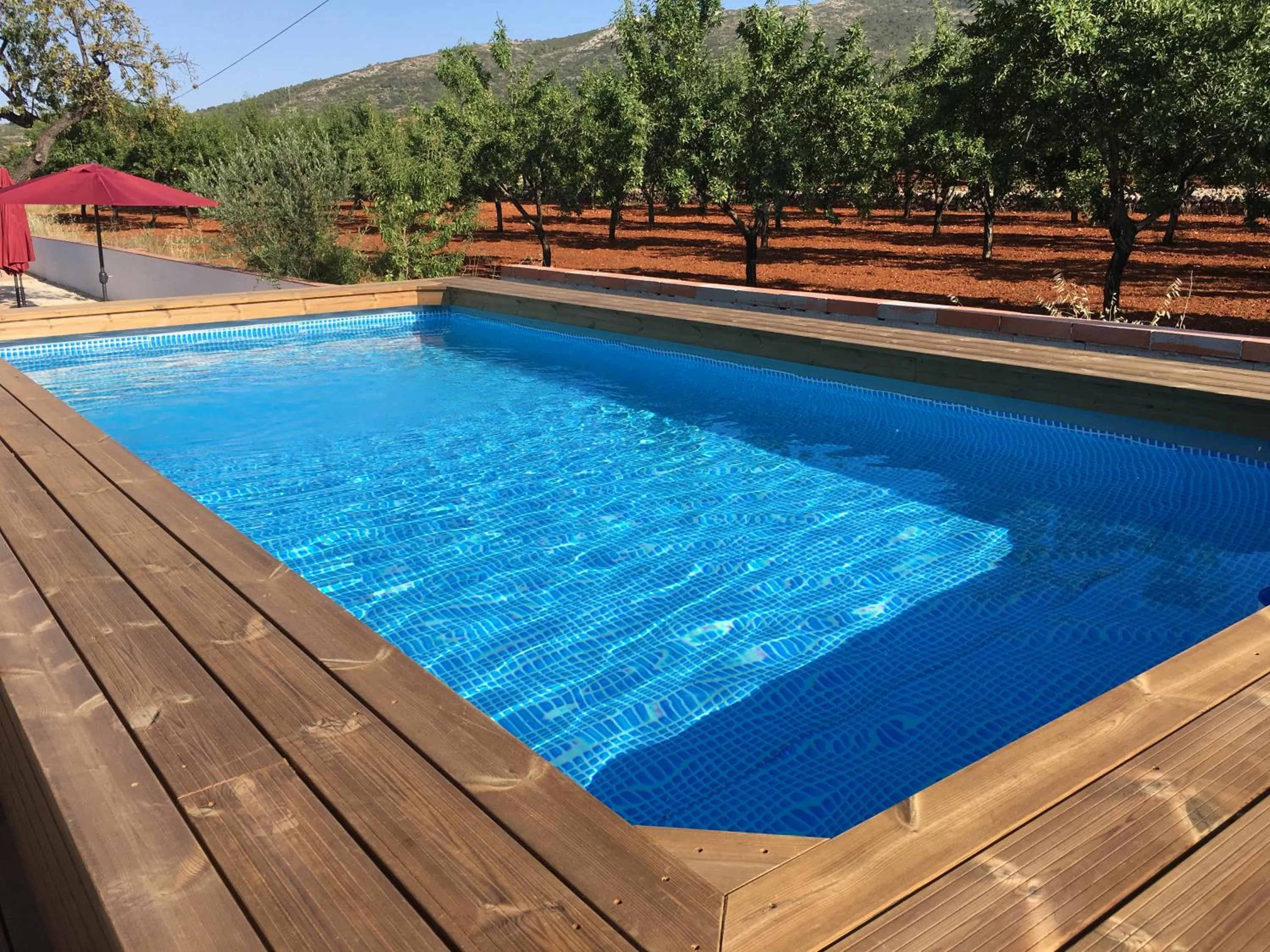 Garden view in Buena Idea - Adults Only