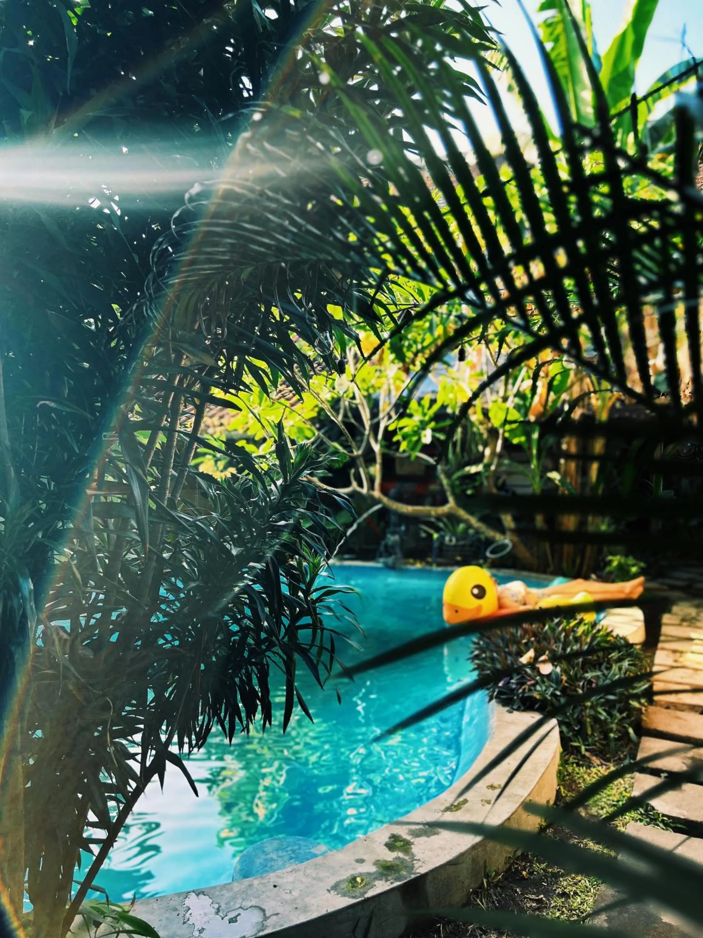 Garden in Losmanos Hostel