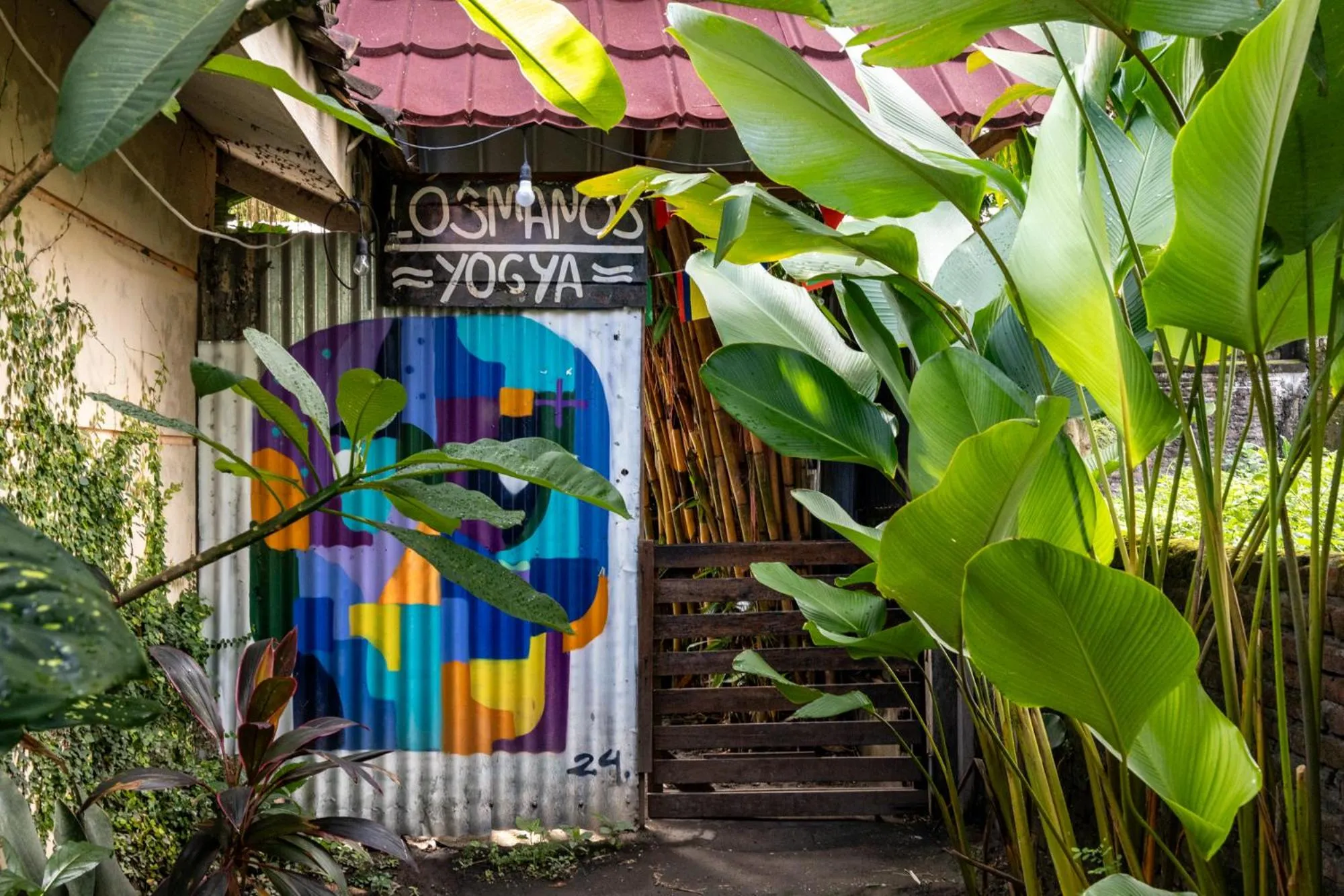 Garden in Losmanos Hostel