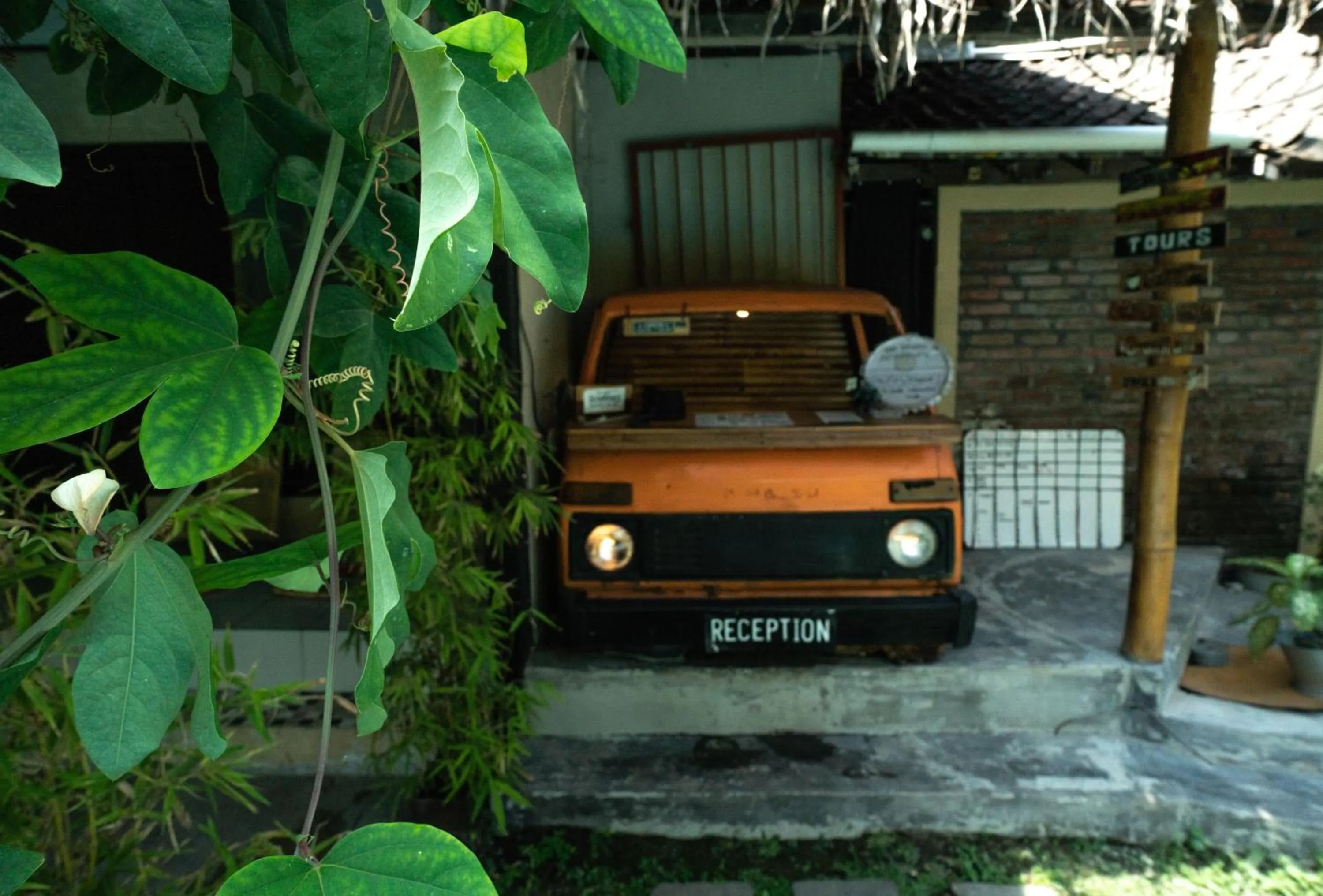 Garden in Losmanos Hostel