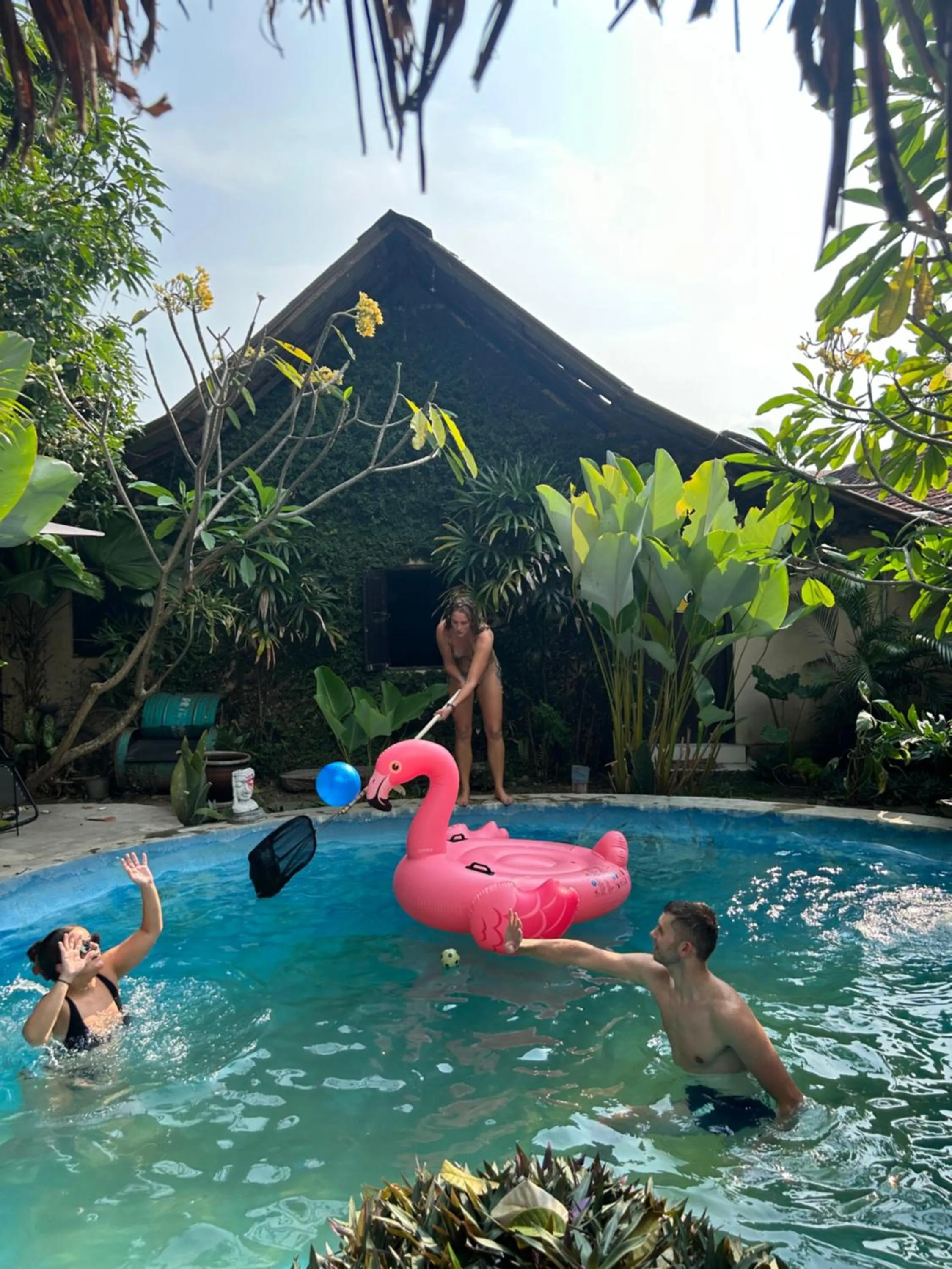 Pool view in Losmanos Hostel