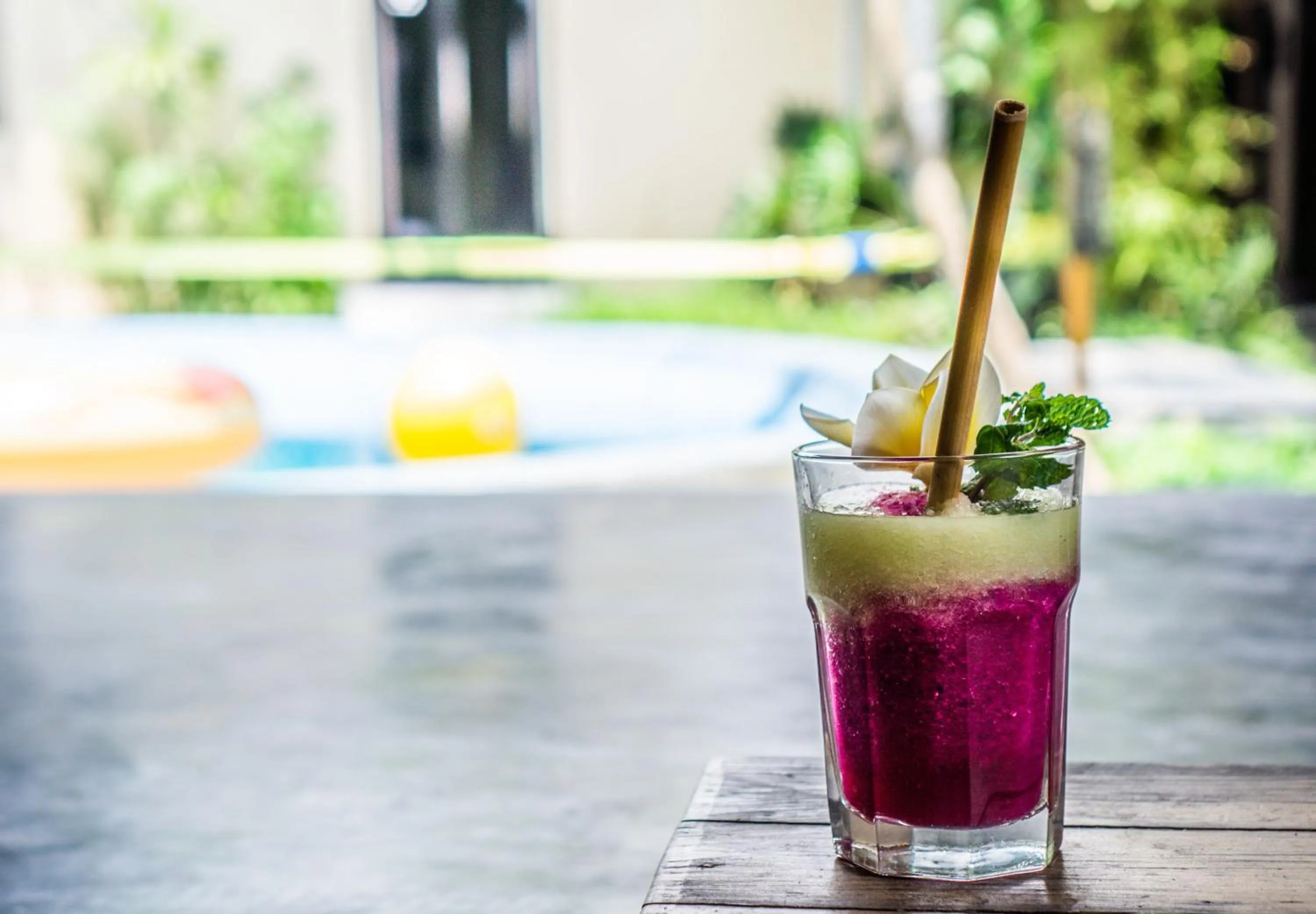 Lounge or bar in Losmanos Hostel