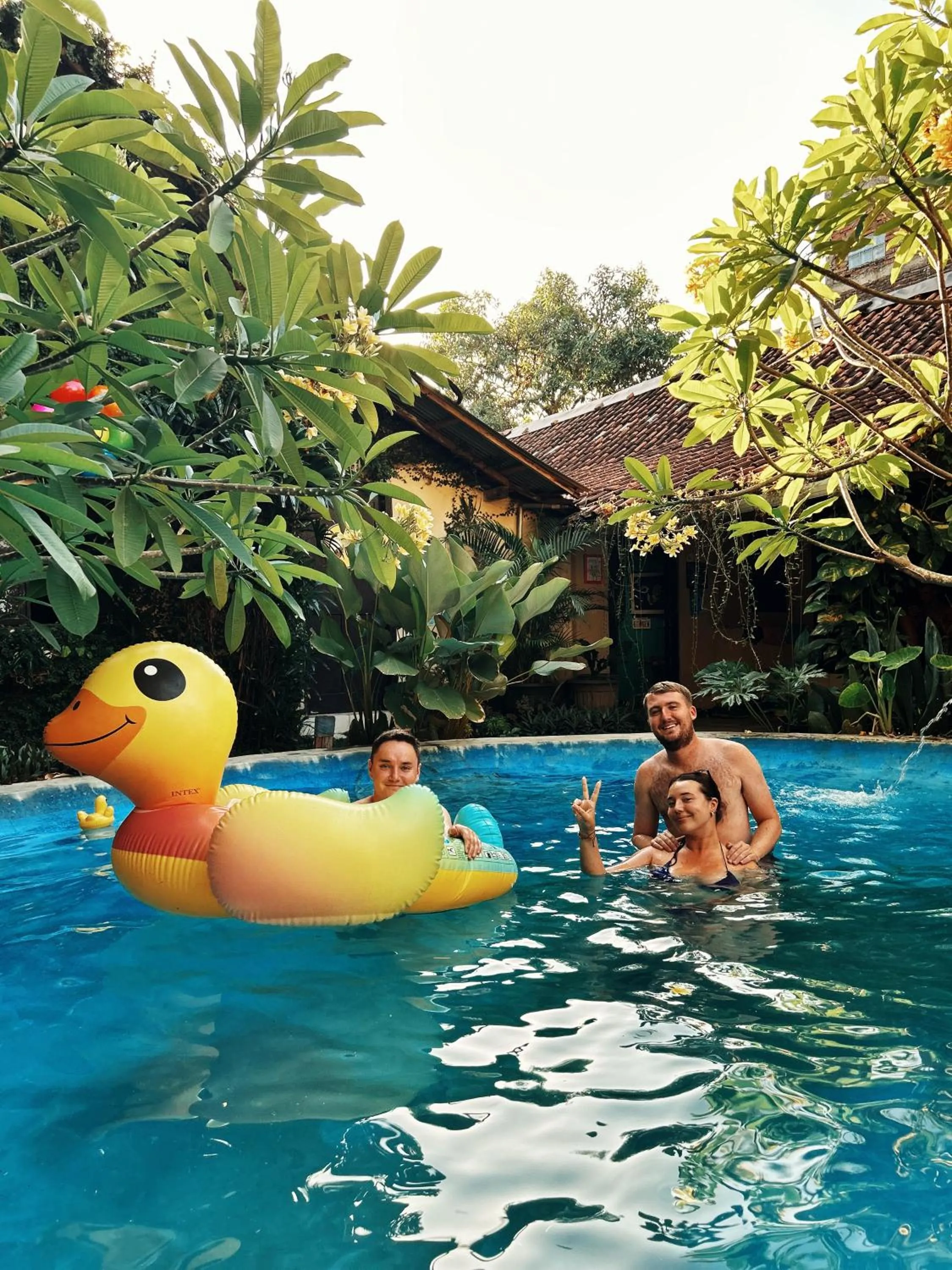 Garden in Losmanos Hostel