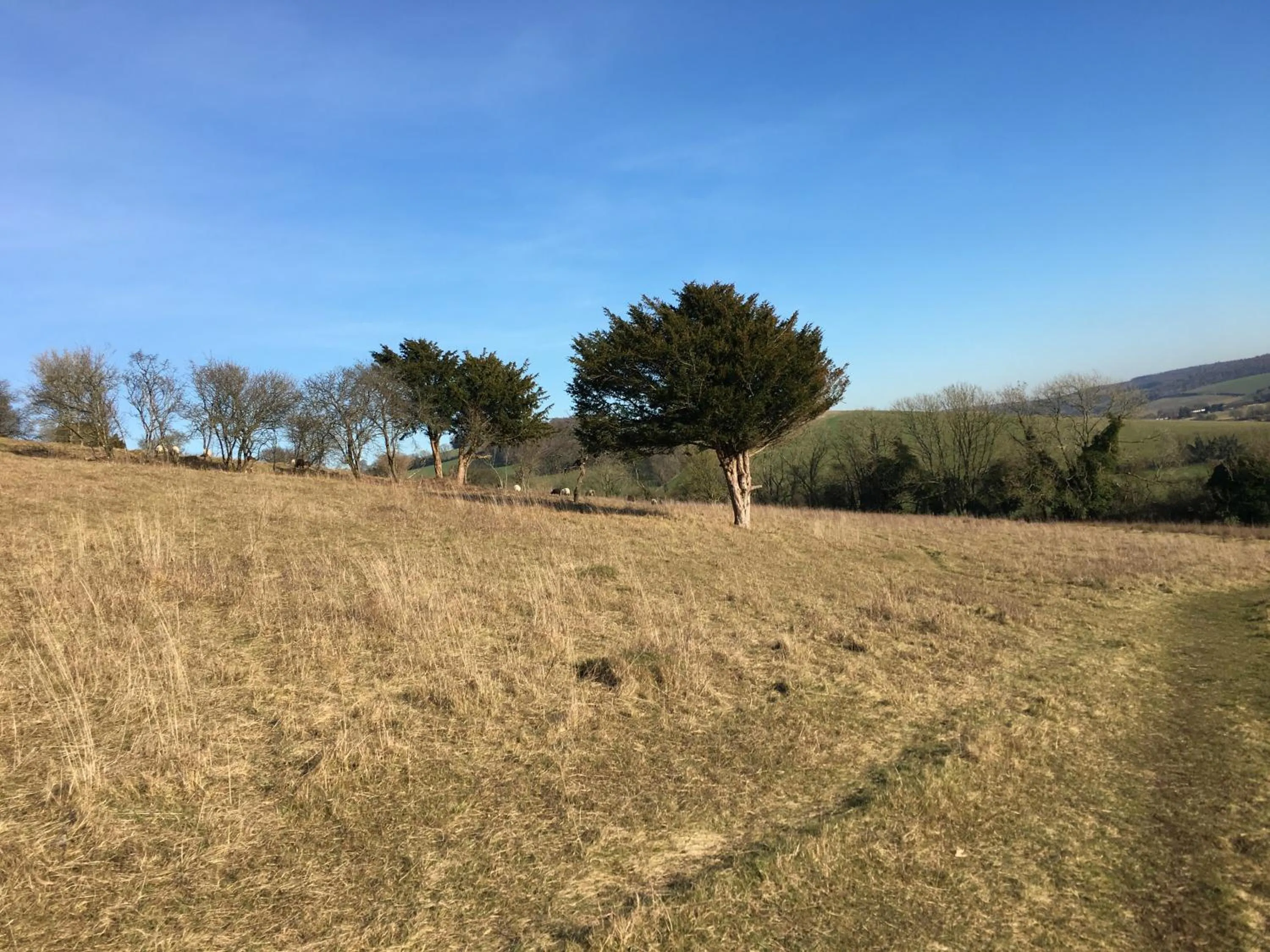 View (from property/room) in 5 Charlton Mill Way B&B