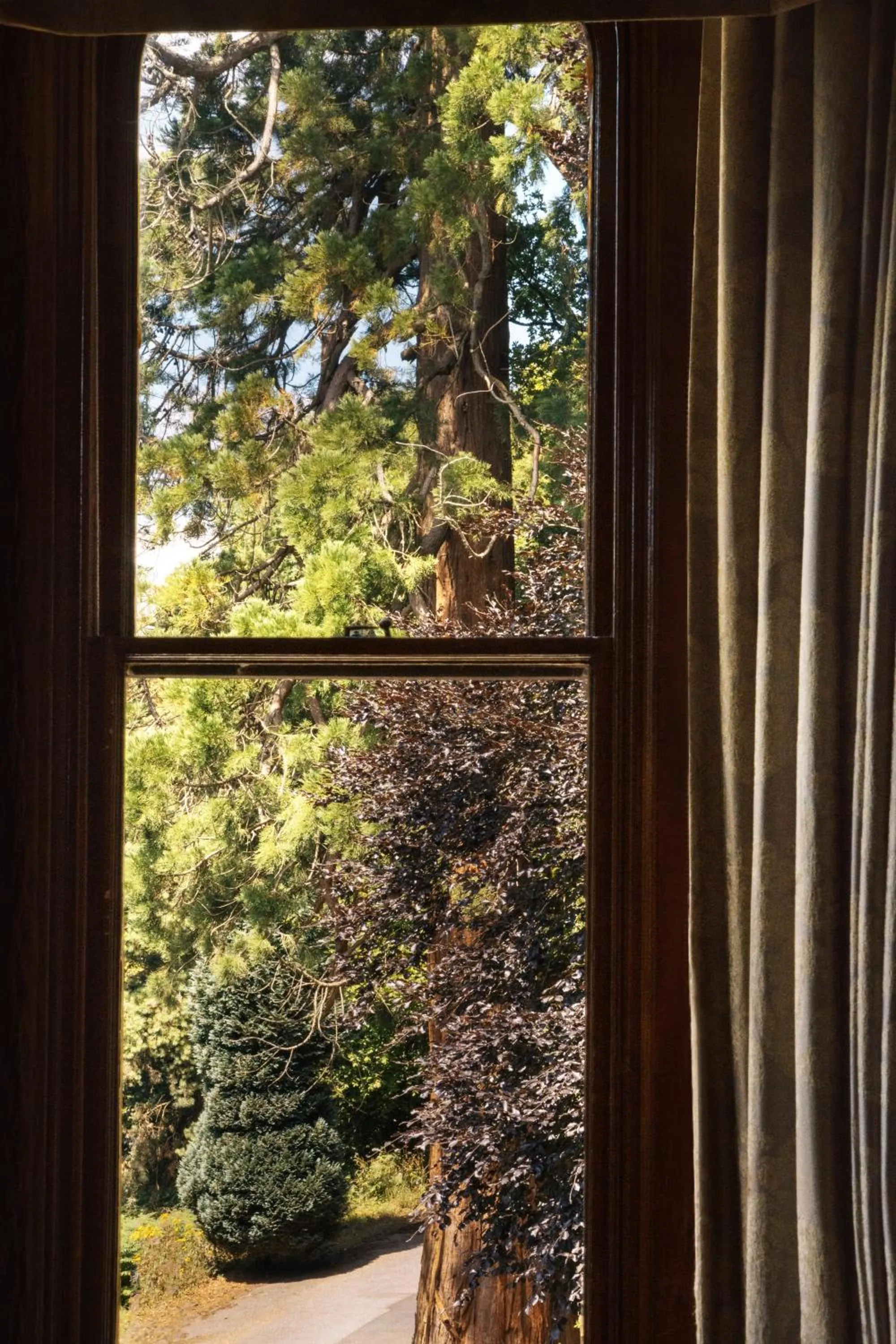 Garden view in Nutfield Priory Hotel & Spa