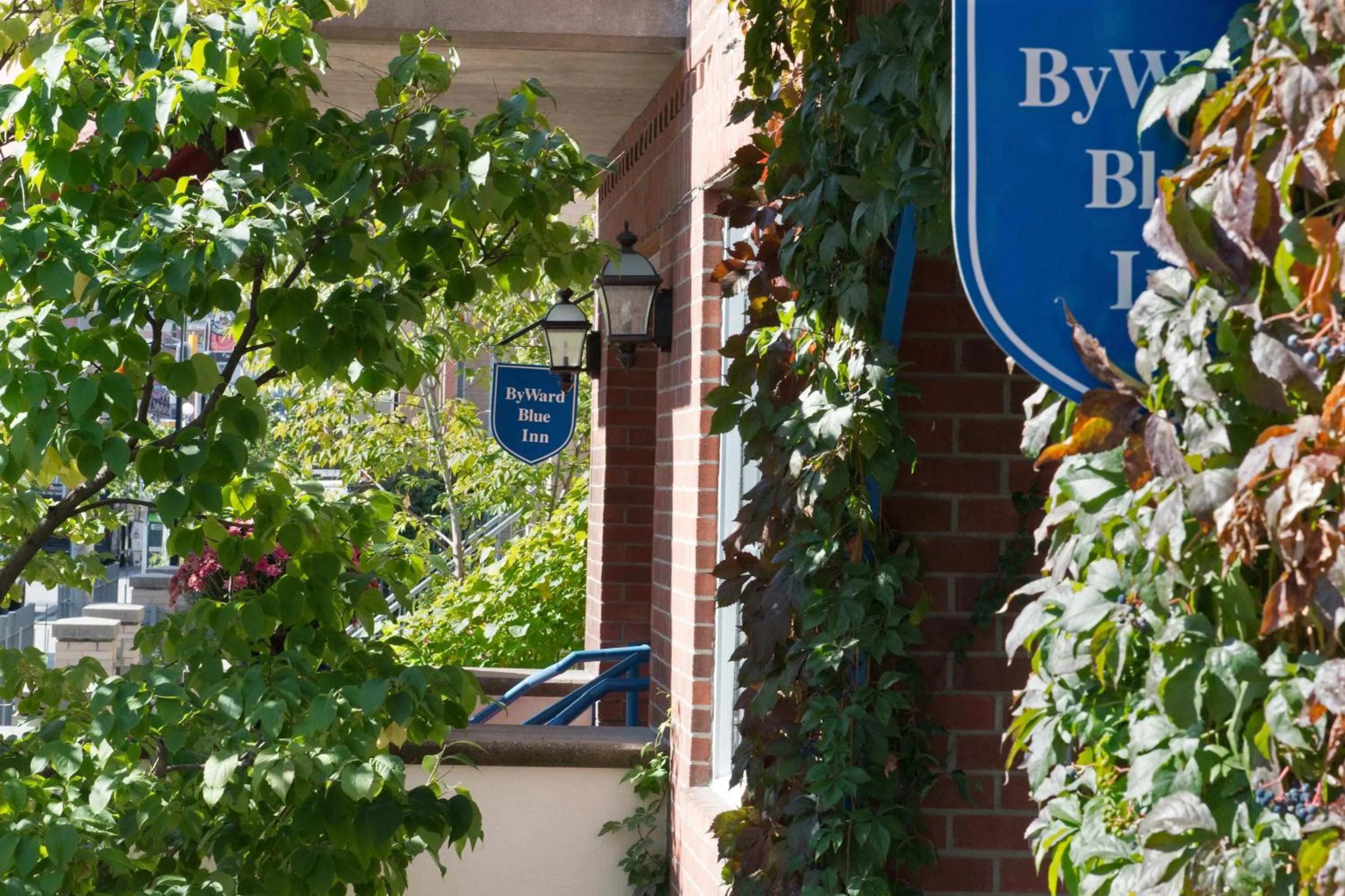 Bird's eye view in ByWard Blue Inn